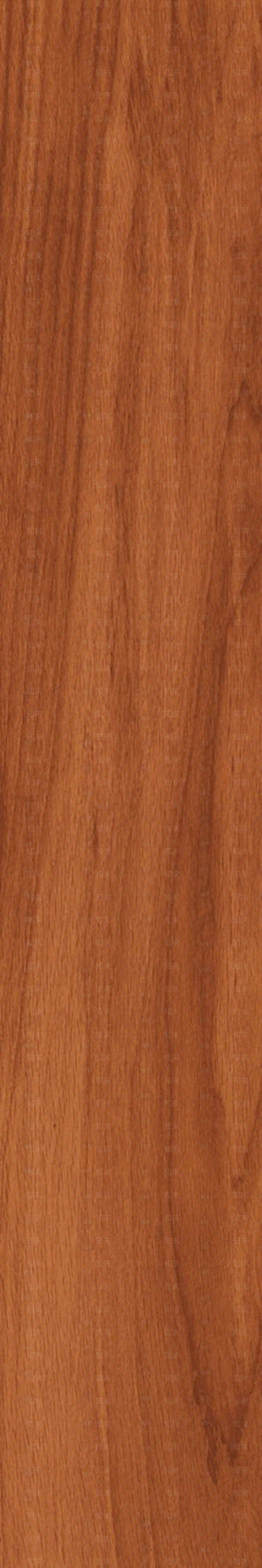 橡木贴图下载【ID:1107686368】