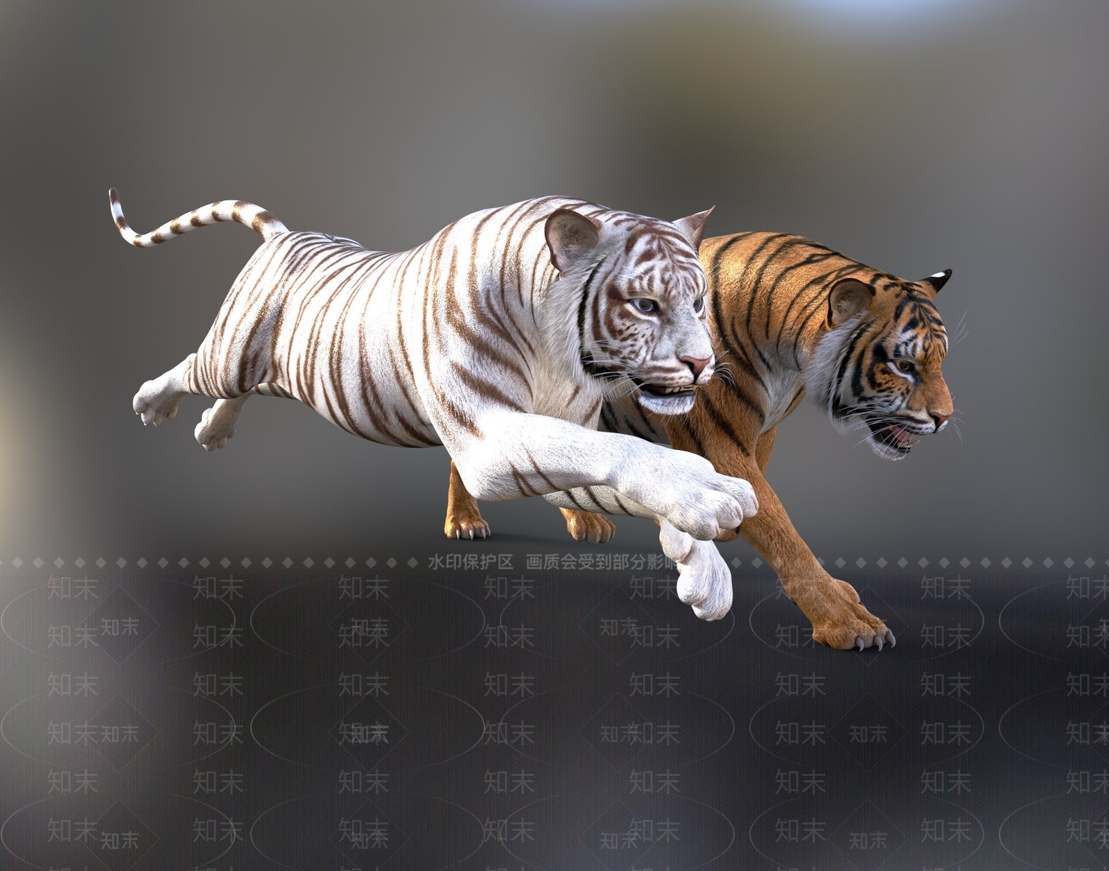 现代老虎3D模型下载【ID:1107790825】