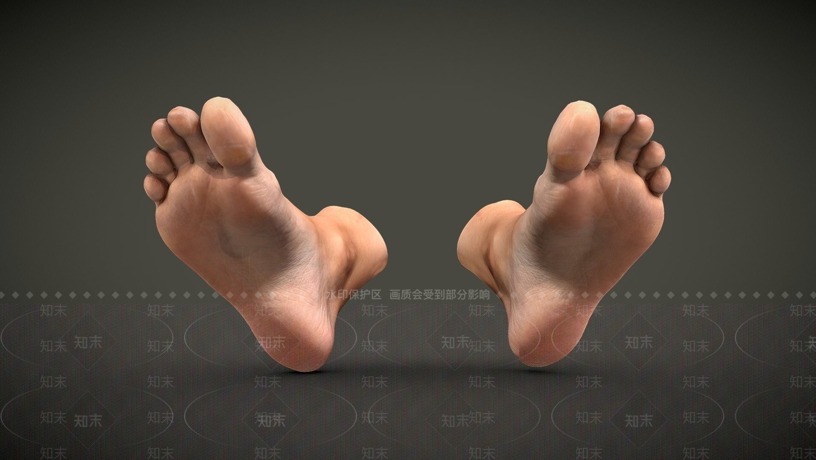 现代脚3D模型下载【ID:1107826458】