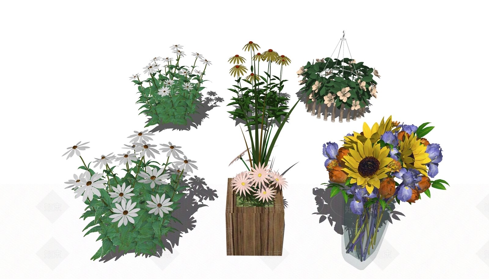 现代菊花SU模型下载【ID:1107889632】