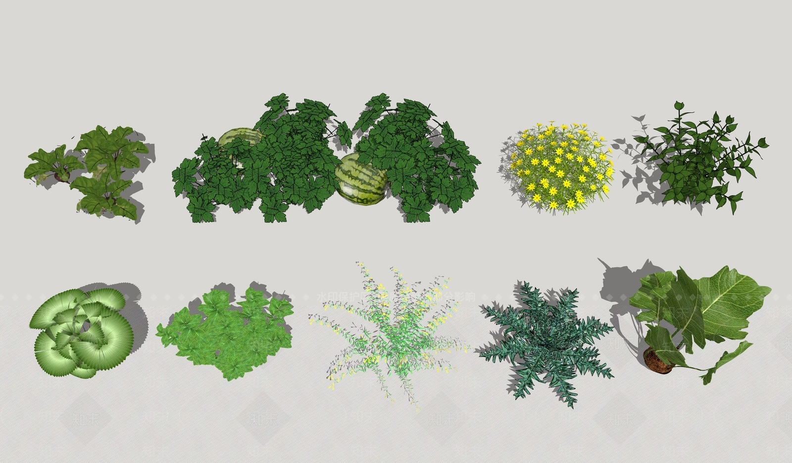 现代蔬菜SU模型下载【ID:1107927410】