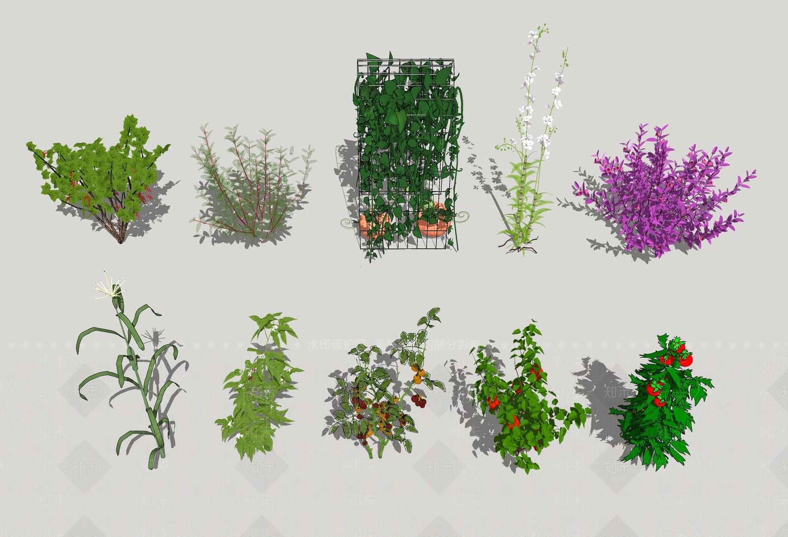 现代蔬菜SU模型下载【ID:1107927434】