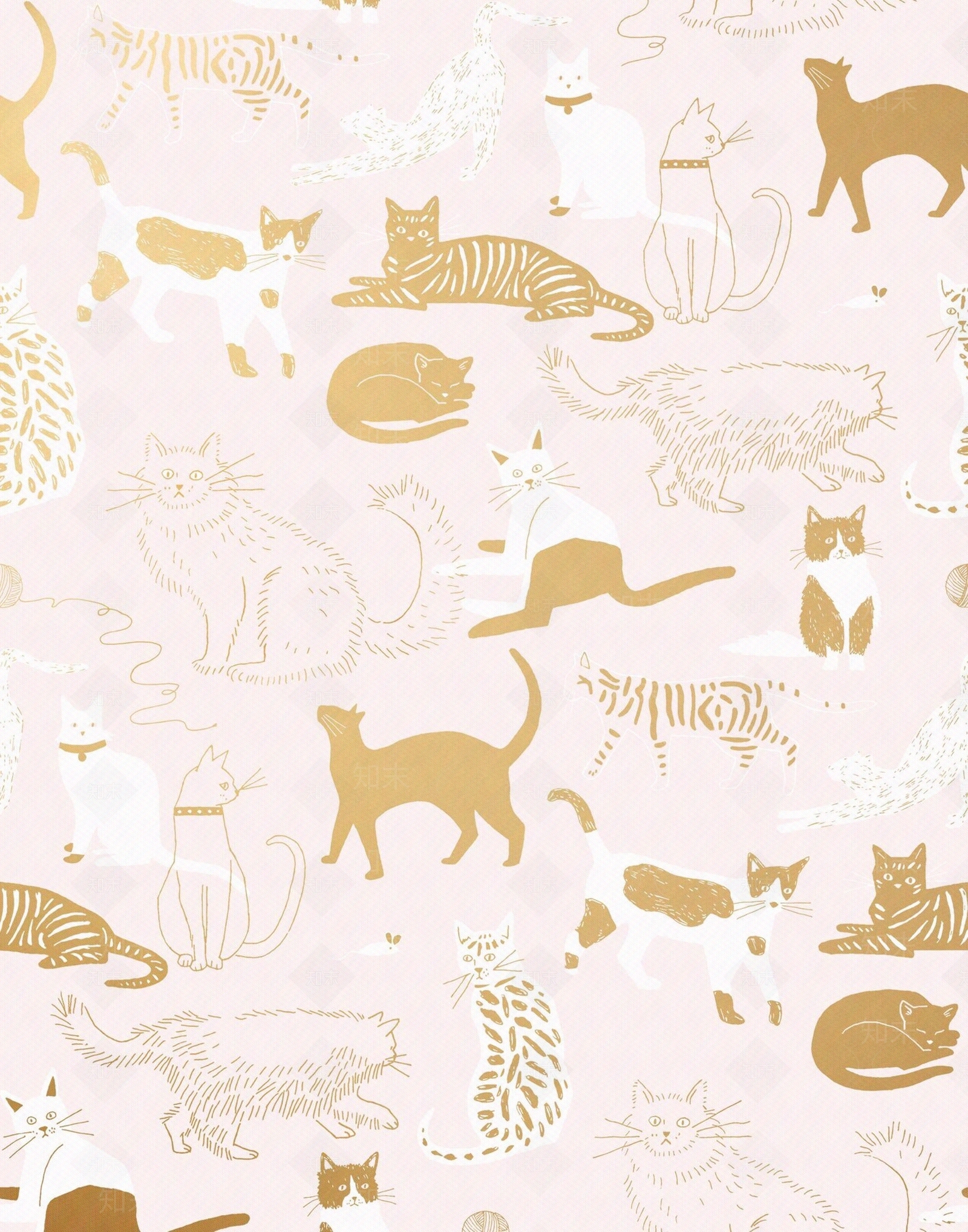 粉色猫咪壁纸贴图下载【ID:1108015395】