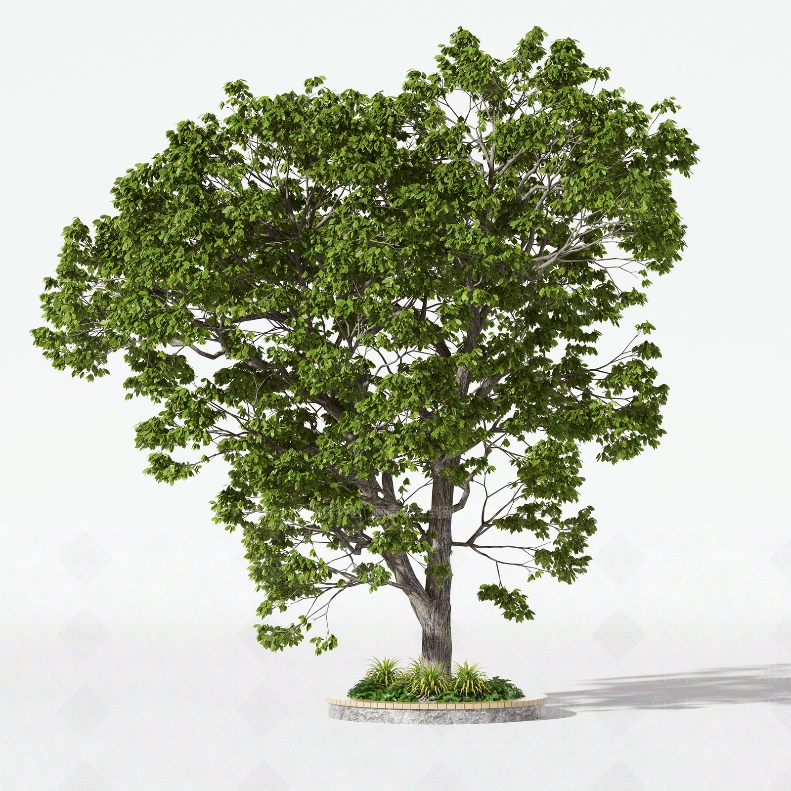 现代乔木3D模型下载【ID:1108015640】