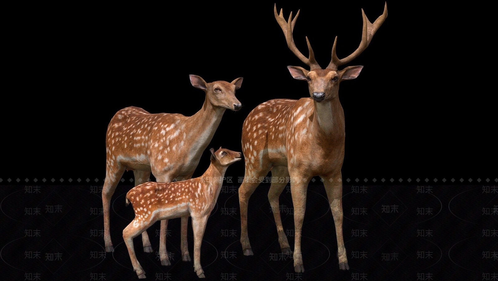 现代鹿3D模型下载【ID:1108031510】