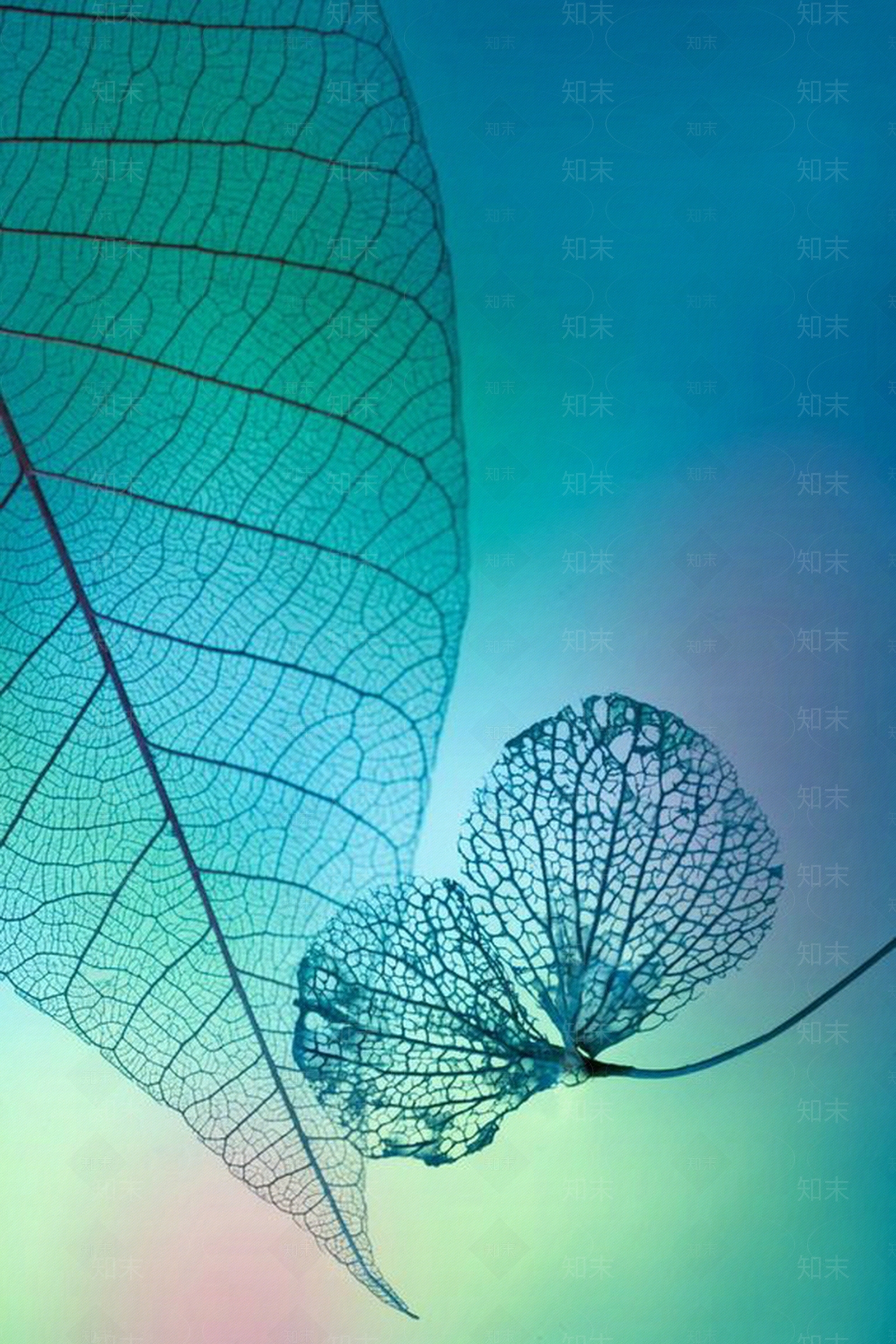屏幕高清贴图材质