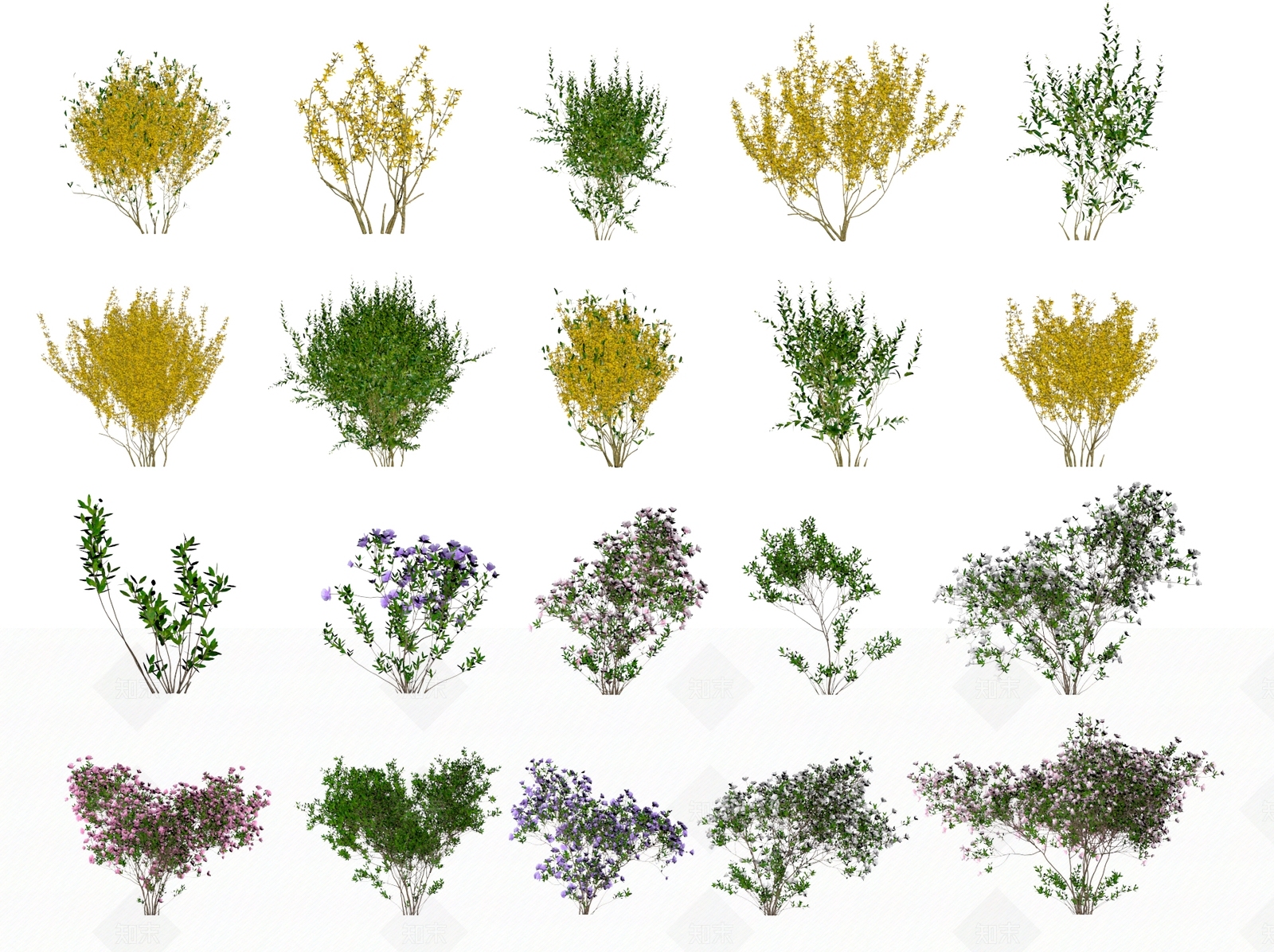 现代花草组合3D模型下载【ID:1108207679】