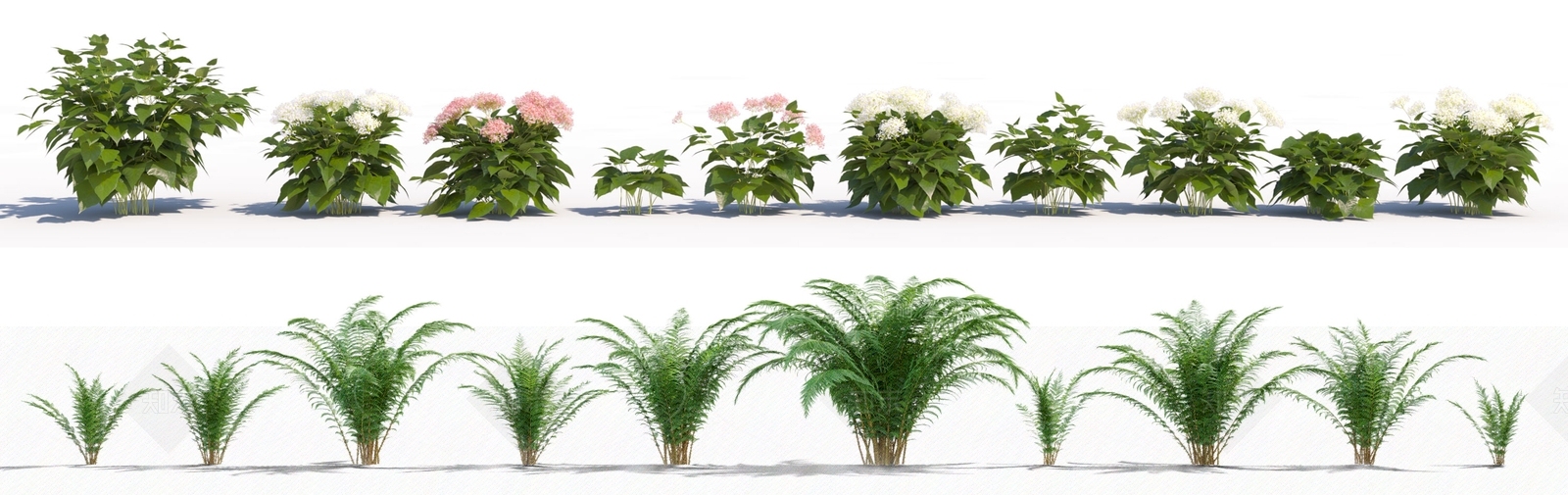 现代花草组合3D模型下载【ID:1108207761】
