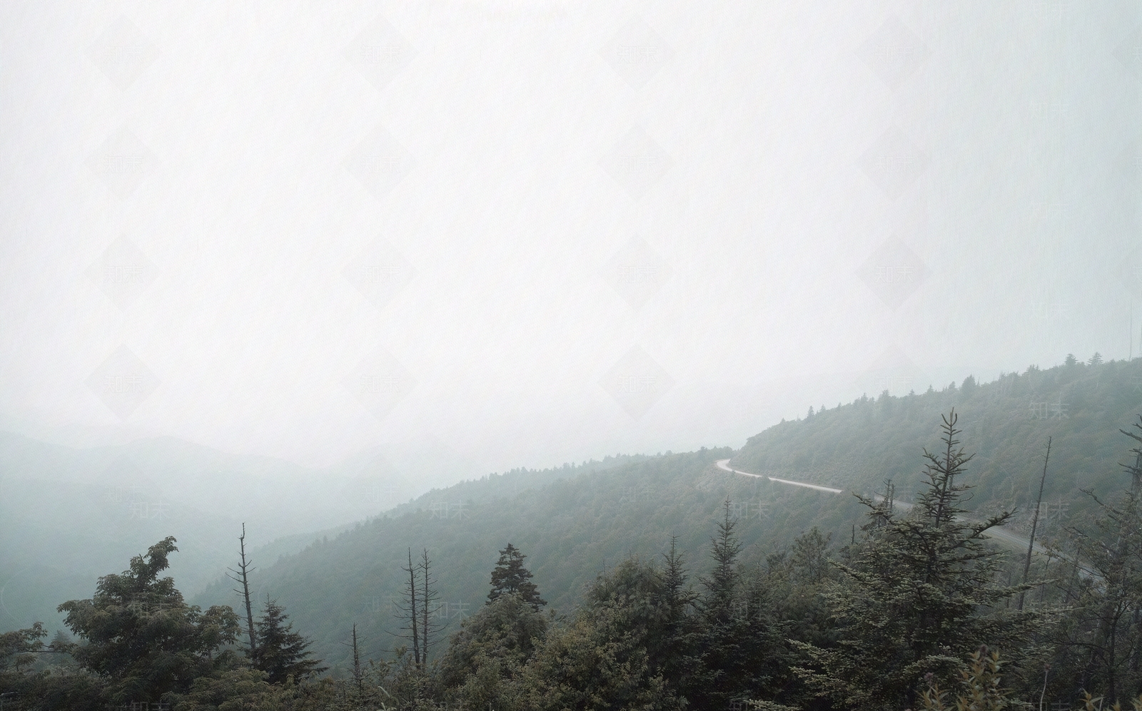 户外山雾意境风景贴图下载【ID:1108243459】