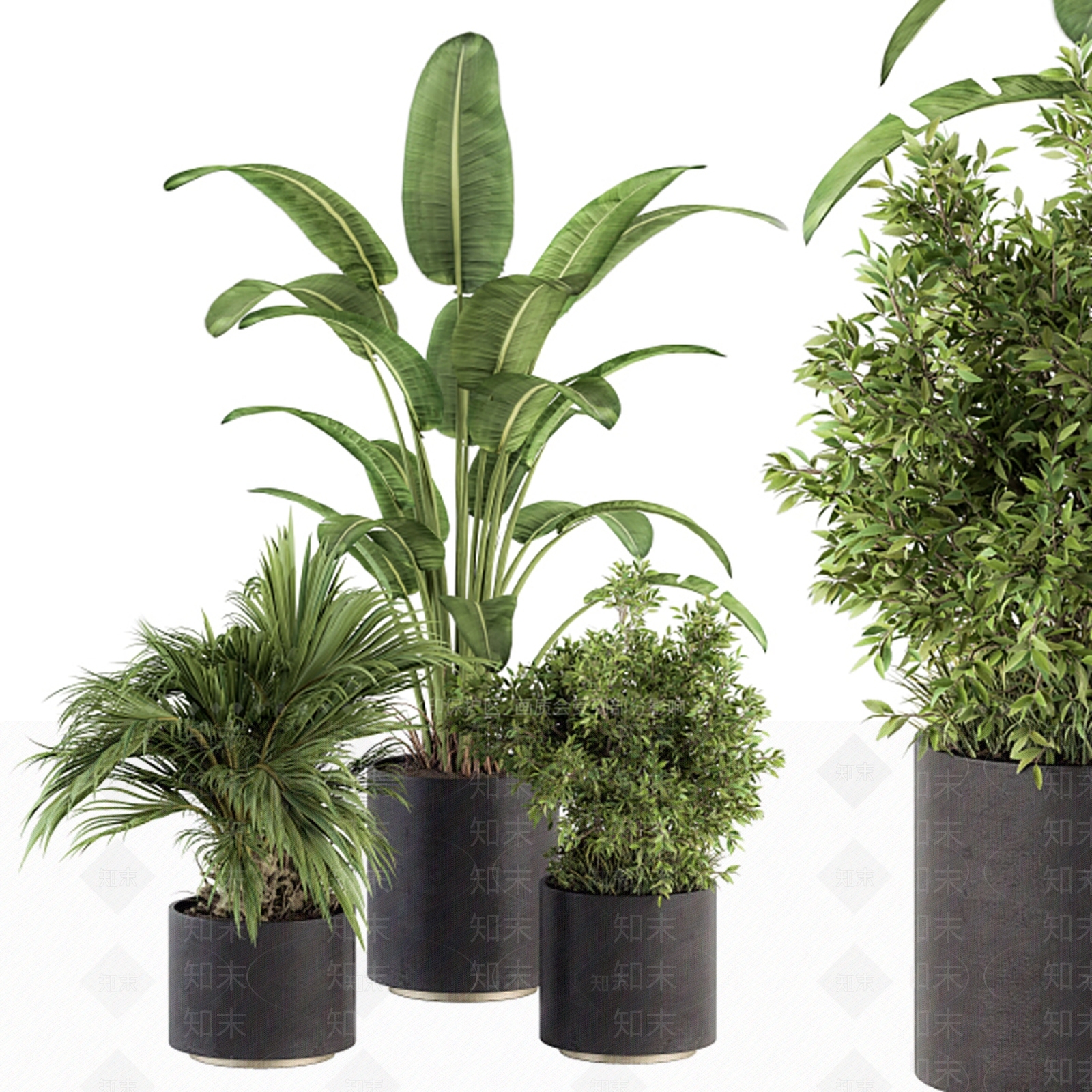 现代室内植物盆栽3D模型下载【ID:1108286486】