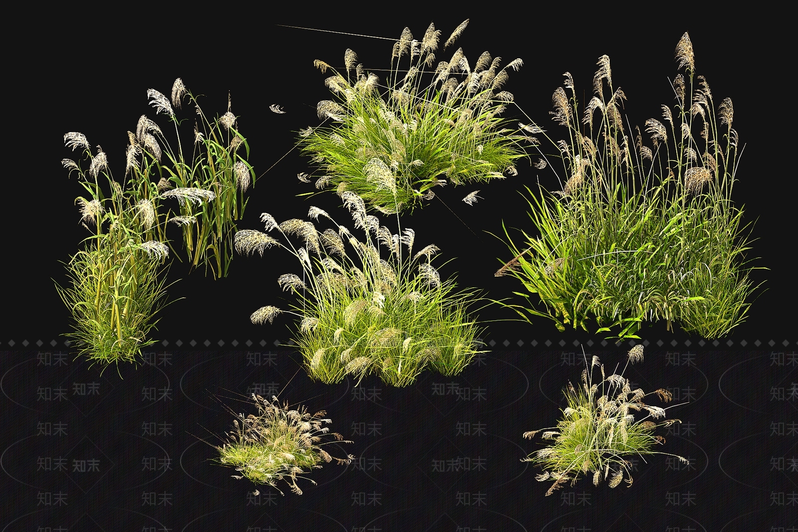 现代芦苇3D模型下载【ID:1108335880】