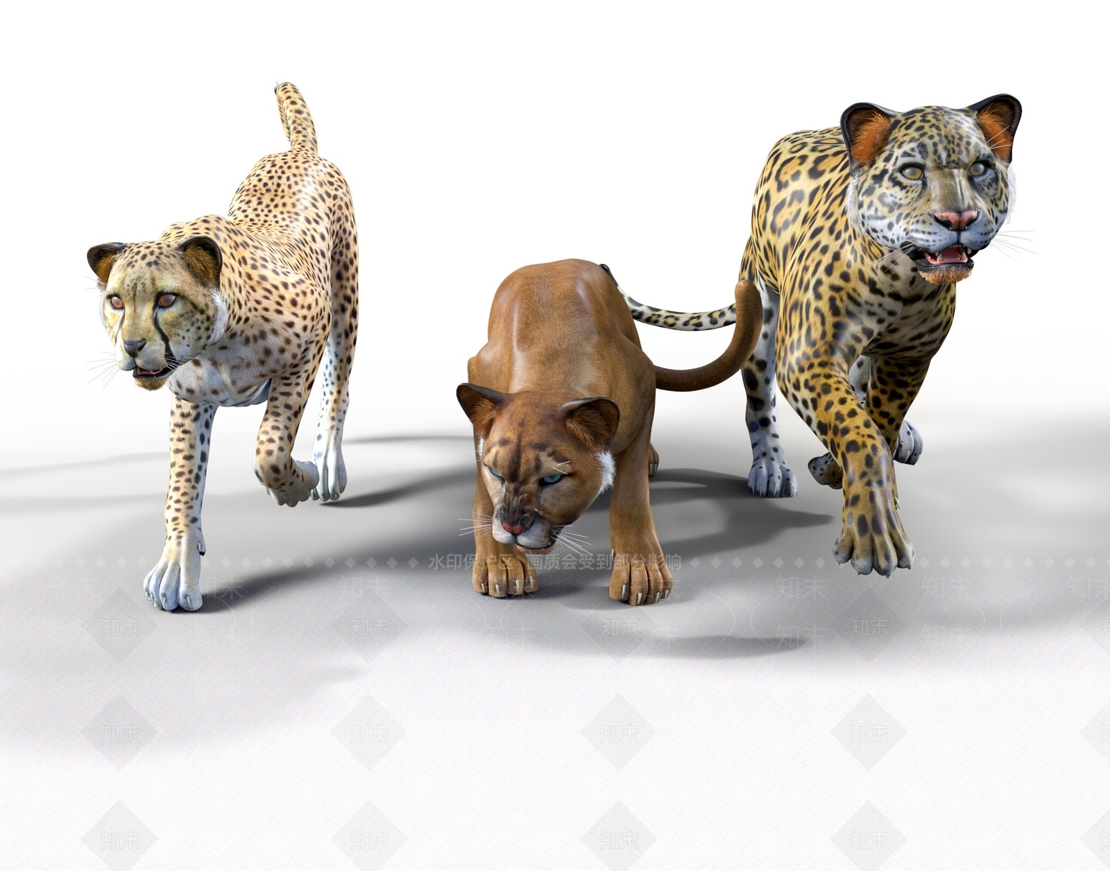现代大型猫科动物3D模型下载【ID:1108455907】