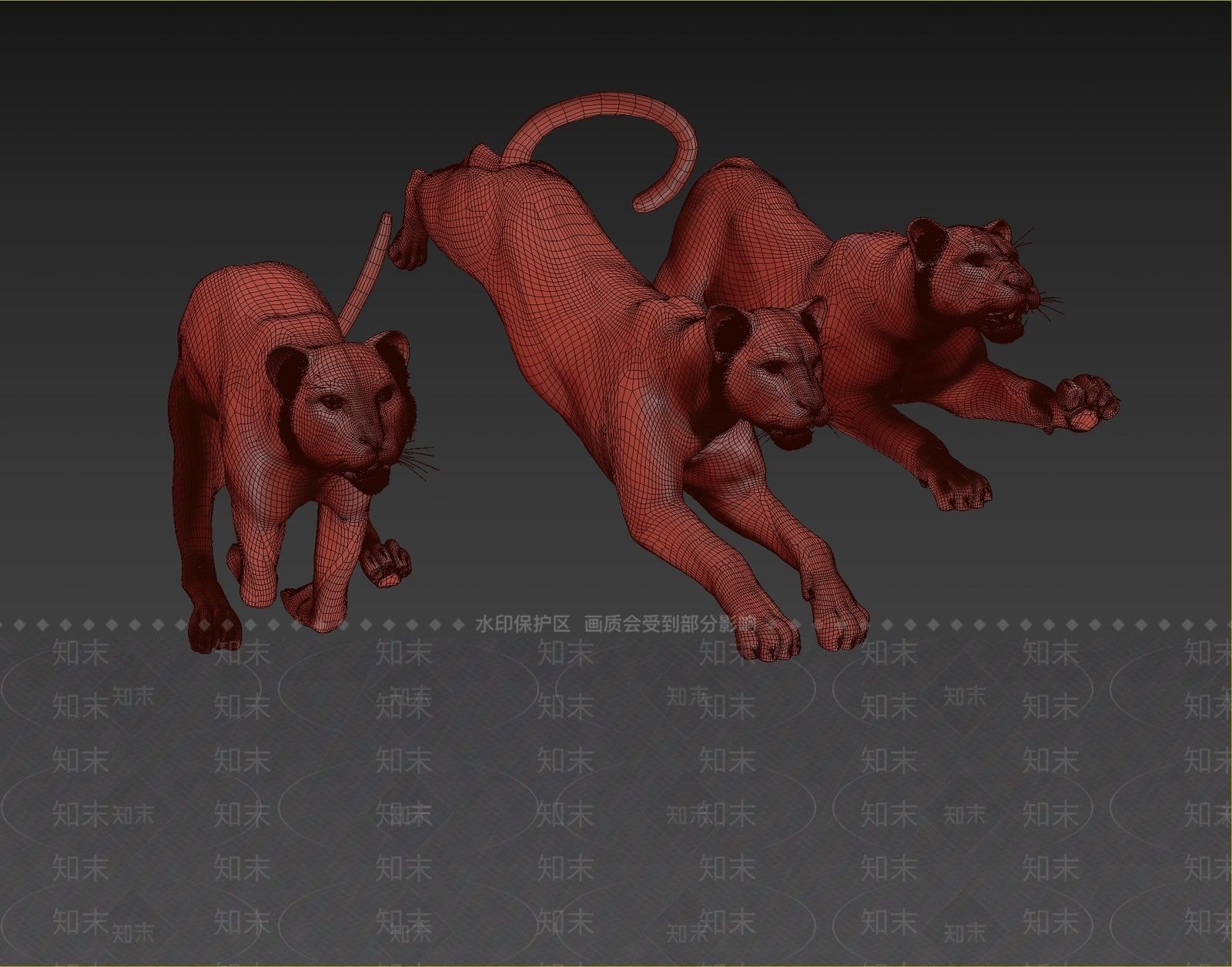 现代大型猫科动物3D模型下载【ID:1108455988】