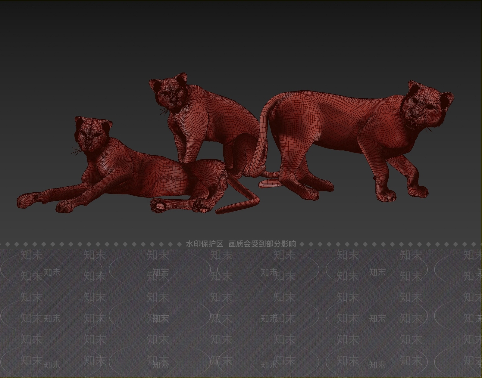 现代大型猫科动物3D模型下载【ID:1108456010】