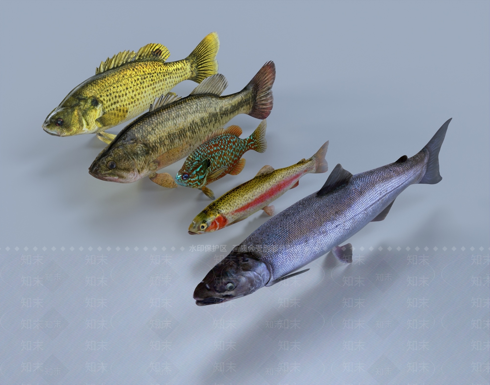 现代鱼3D模型下载【ID:1108500544】