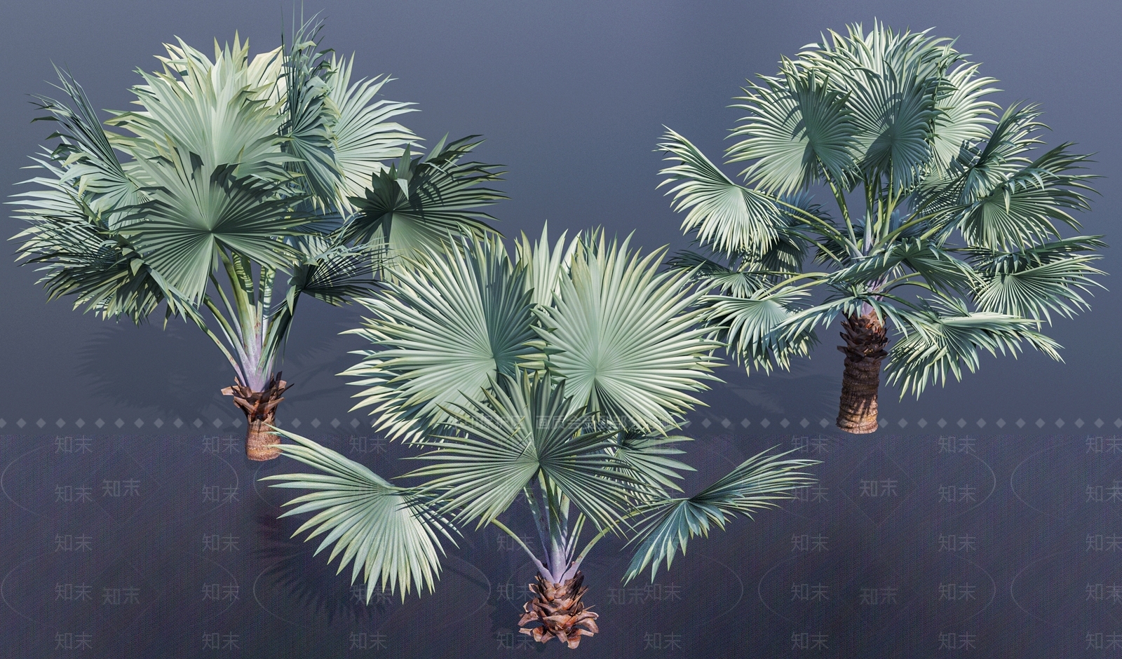 现代棕榈树3D模型下载【ID:1108597479】
