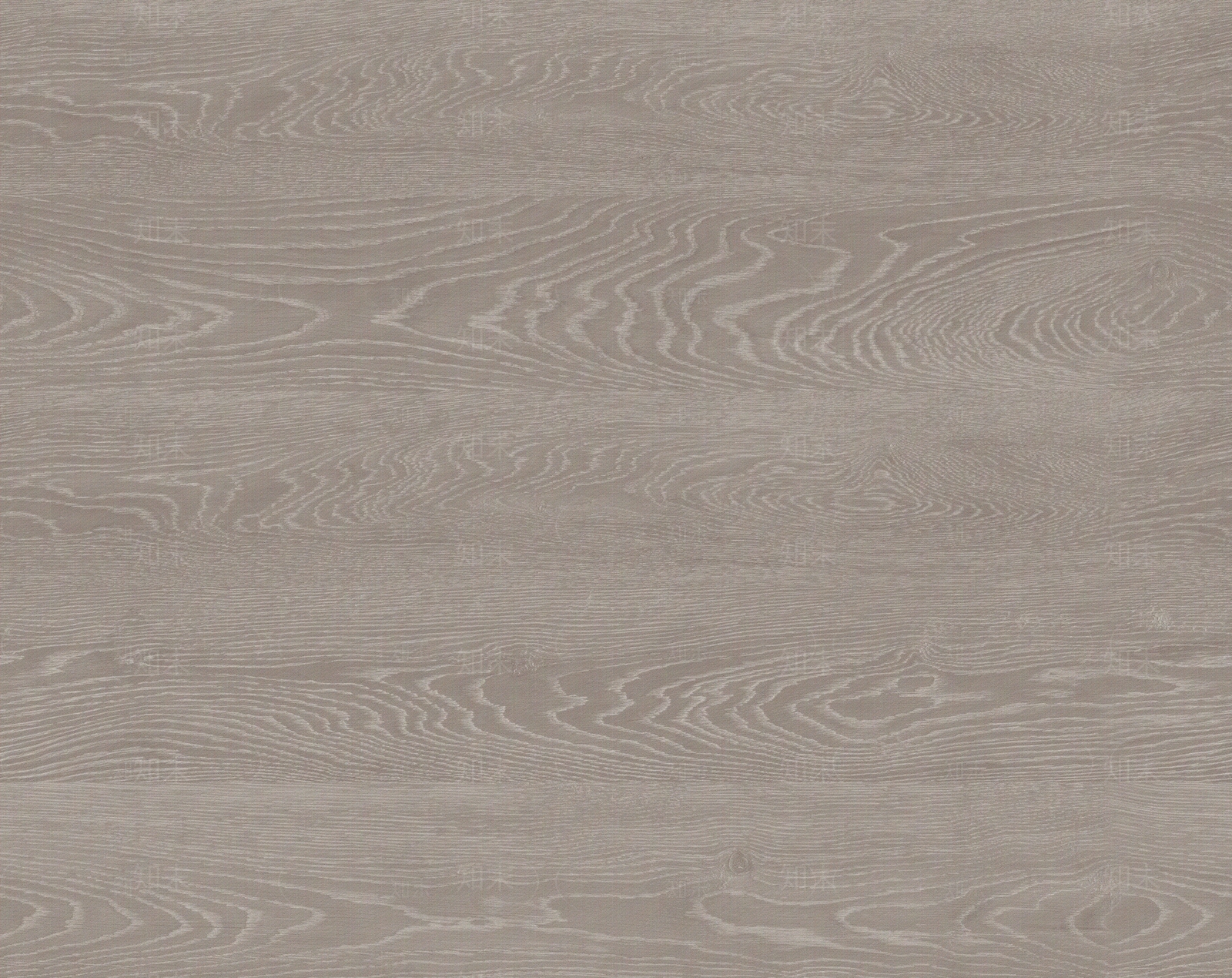 水曲柳浅咖木纹贴图下载【ID:1108603126】