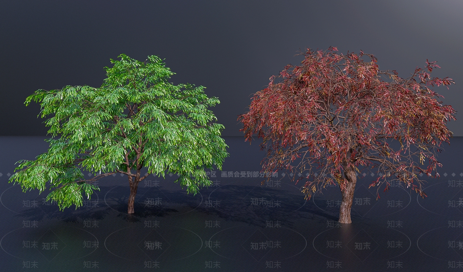 现代乔木3D模型下载【ID:1108638014】