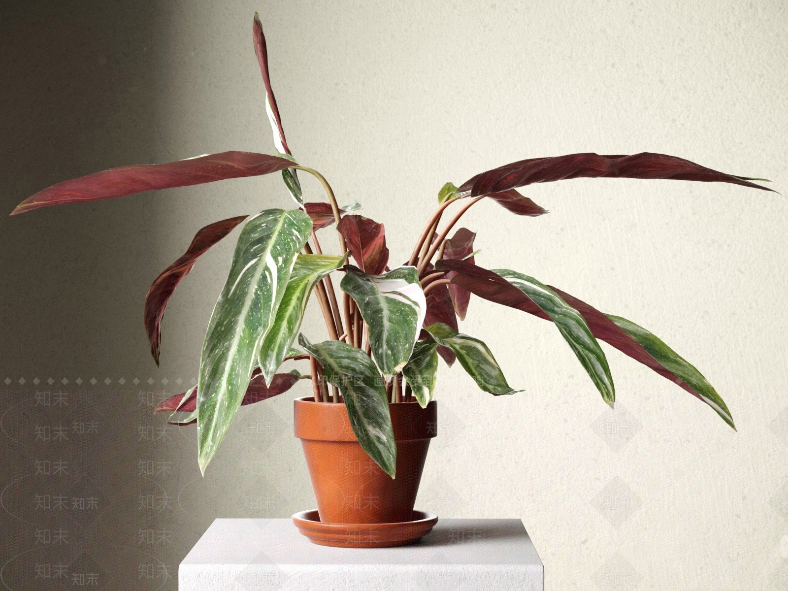 现代盆栽植物3D模型下载【ID:1108713648】_知末3d模型网