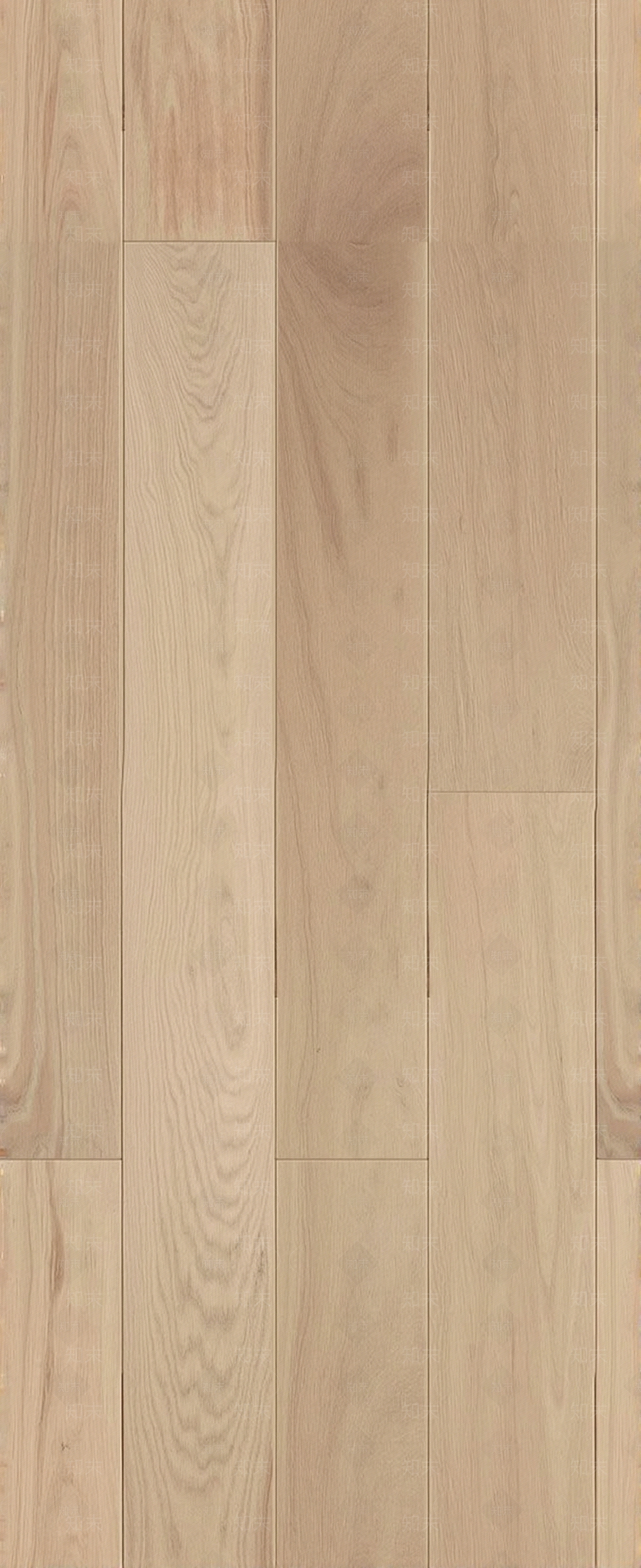 浅色原木木地板贴图下载【ID:1195353755】