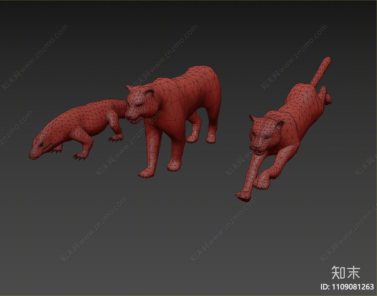 现代老虎3d模型下载