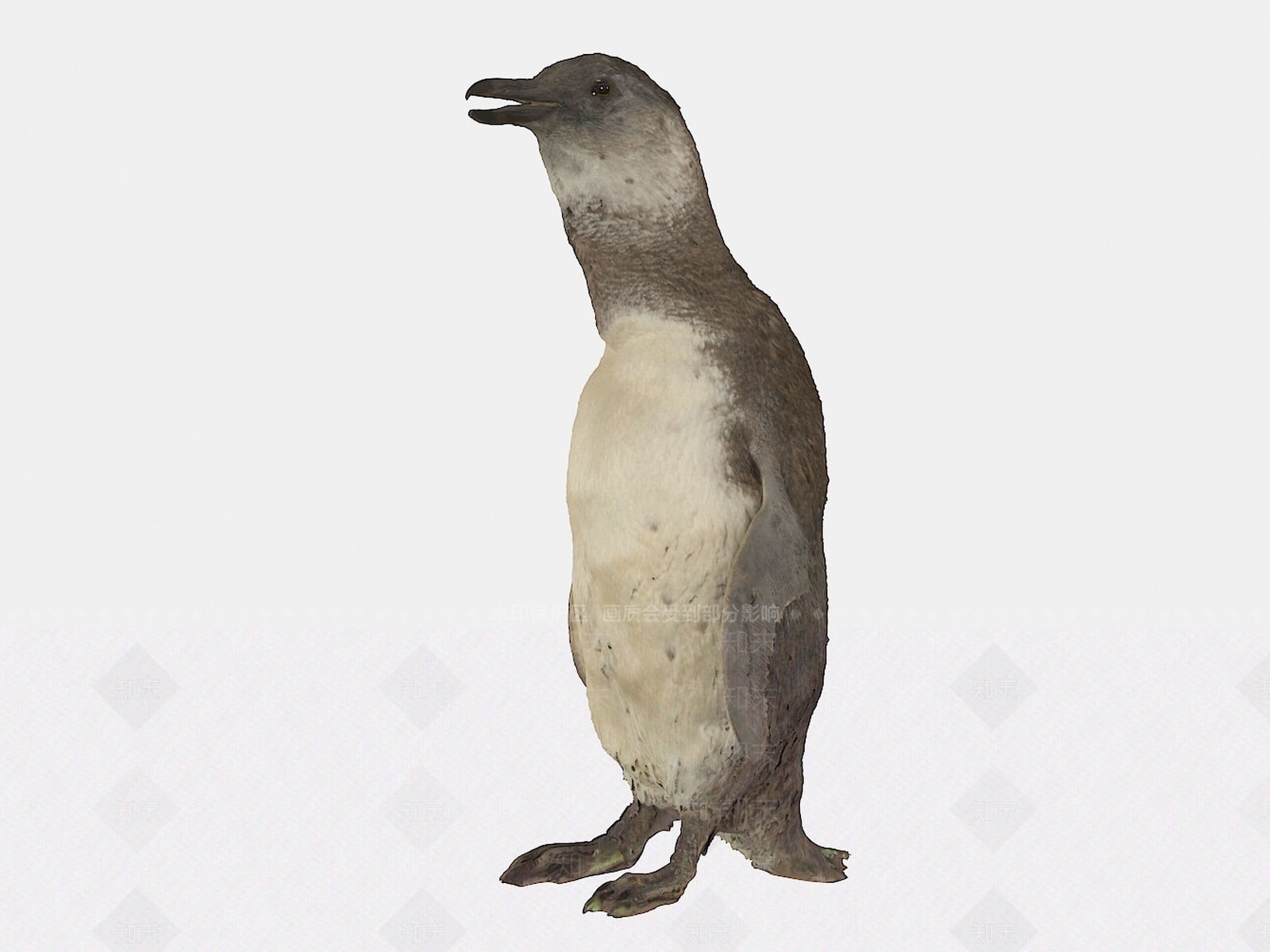 现代企鹅3D模型下载【ID:1109122745】
