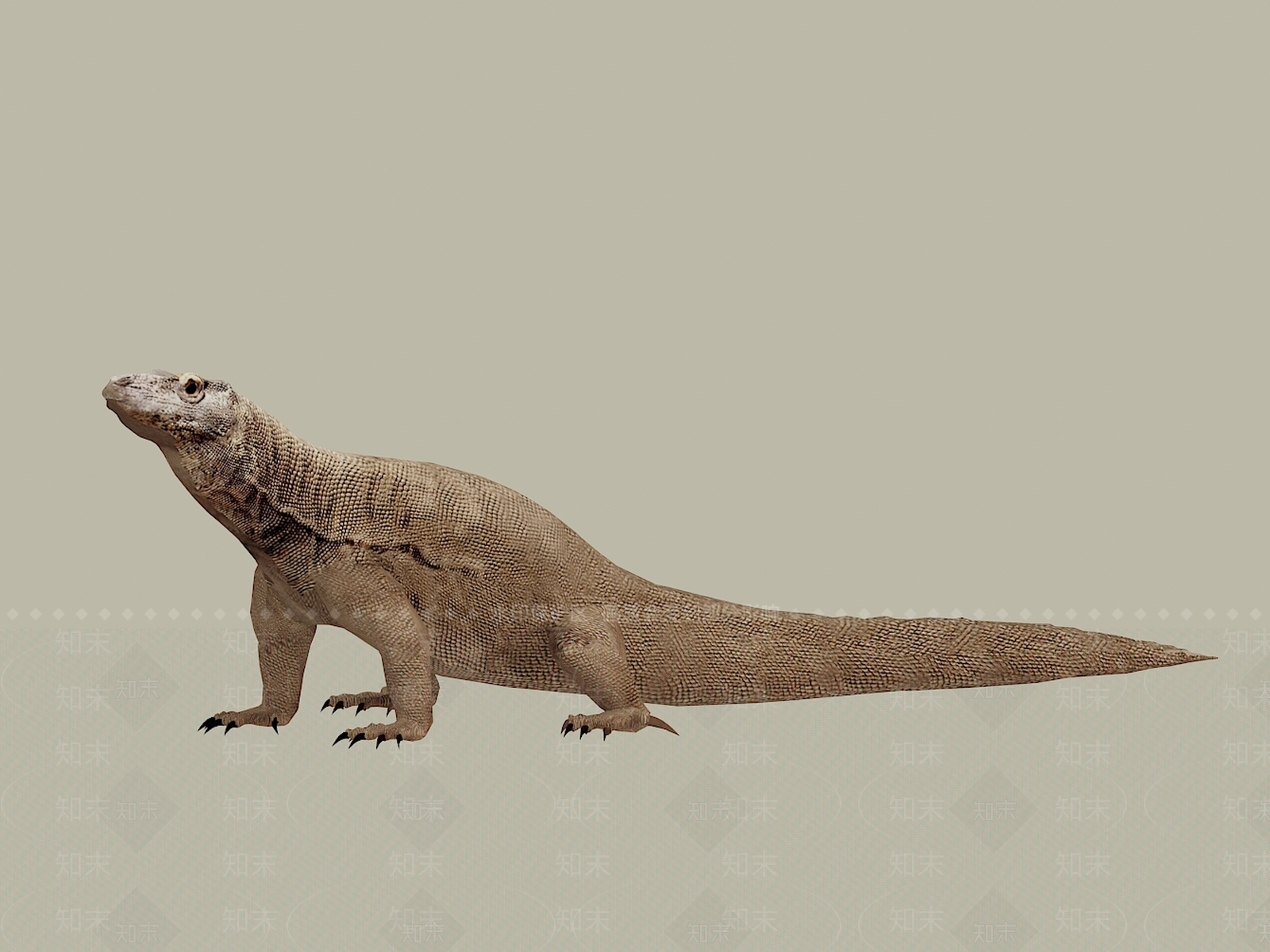 现代蜥蜴3D模型下载【ID:1109122905】