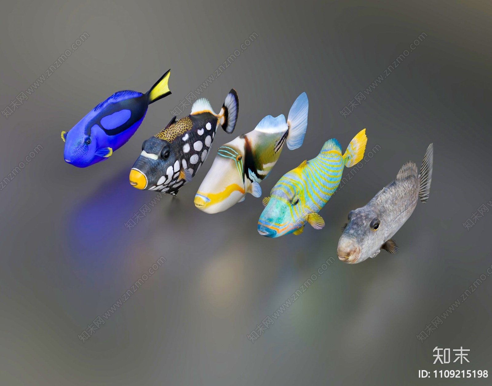 现代鱼3d模型下载
