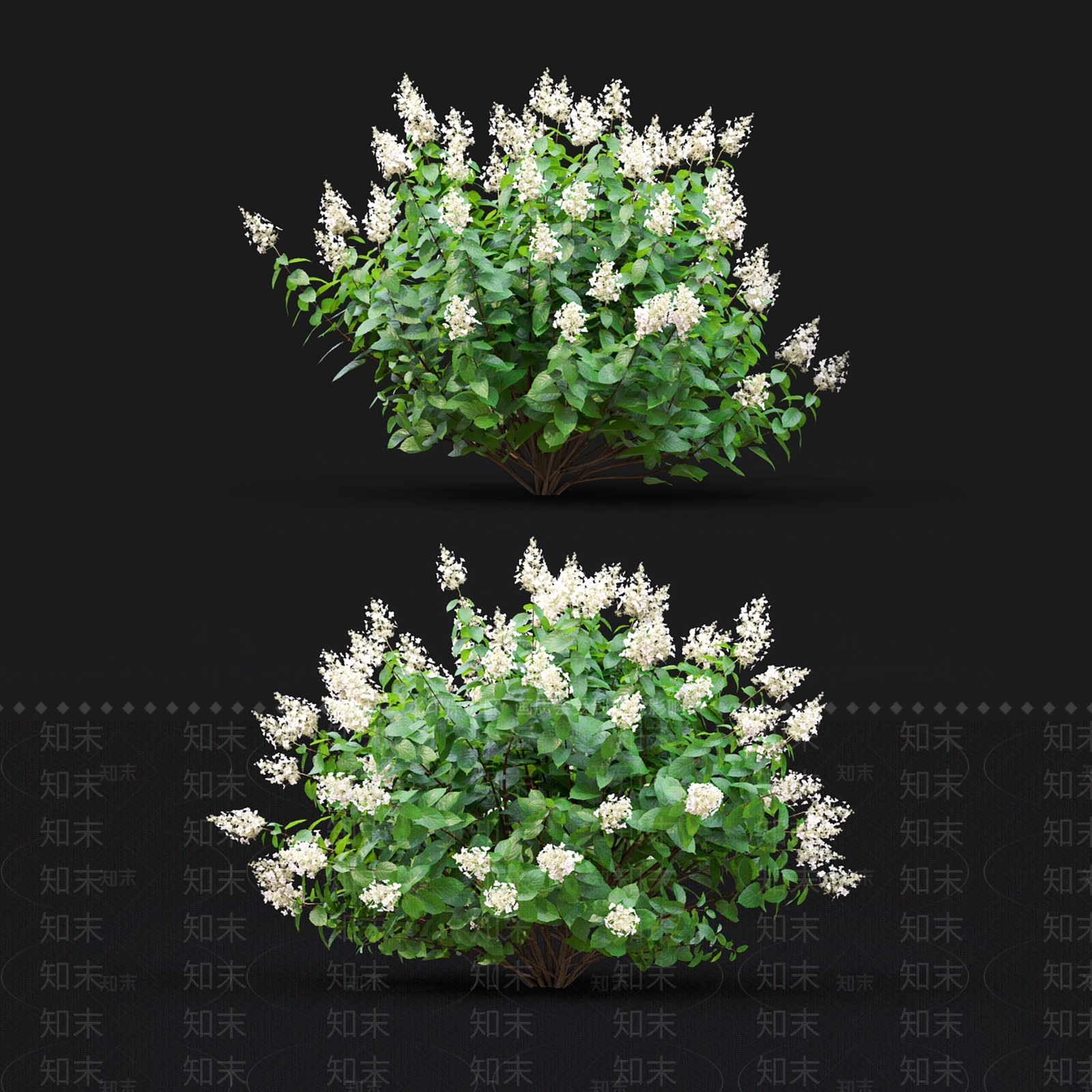 现代灌木丛3D模型下载【ID:1109497205】