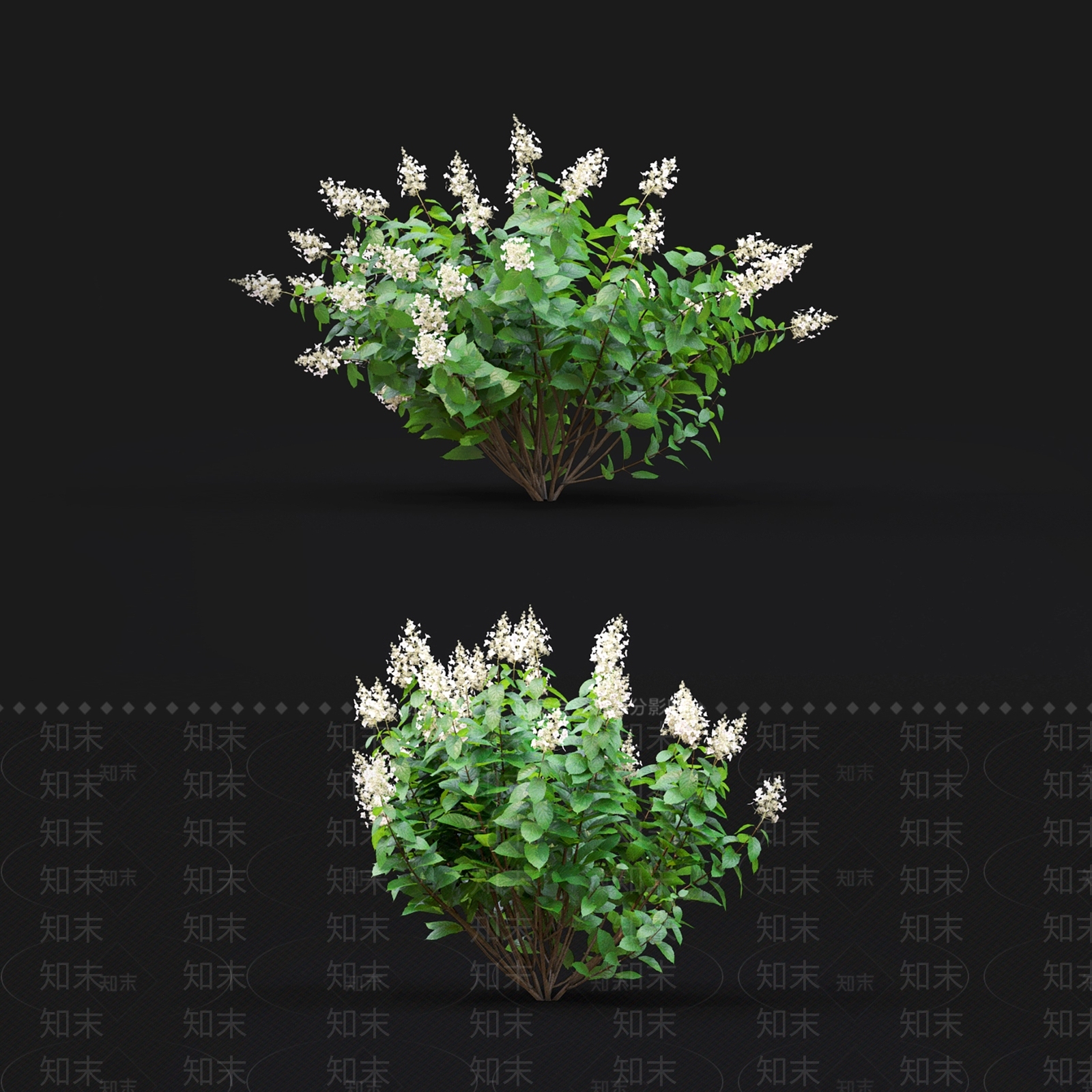 现代灌木丛3D模型下载【ID:1109497205】