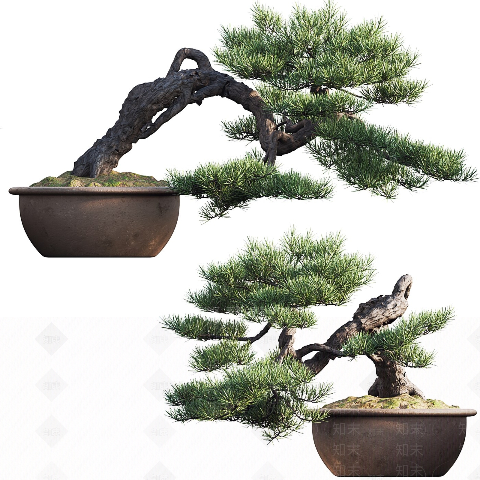 新中式绿植盆栽3D模型下载【ID:1109522854】