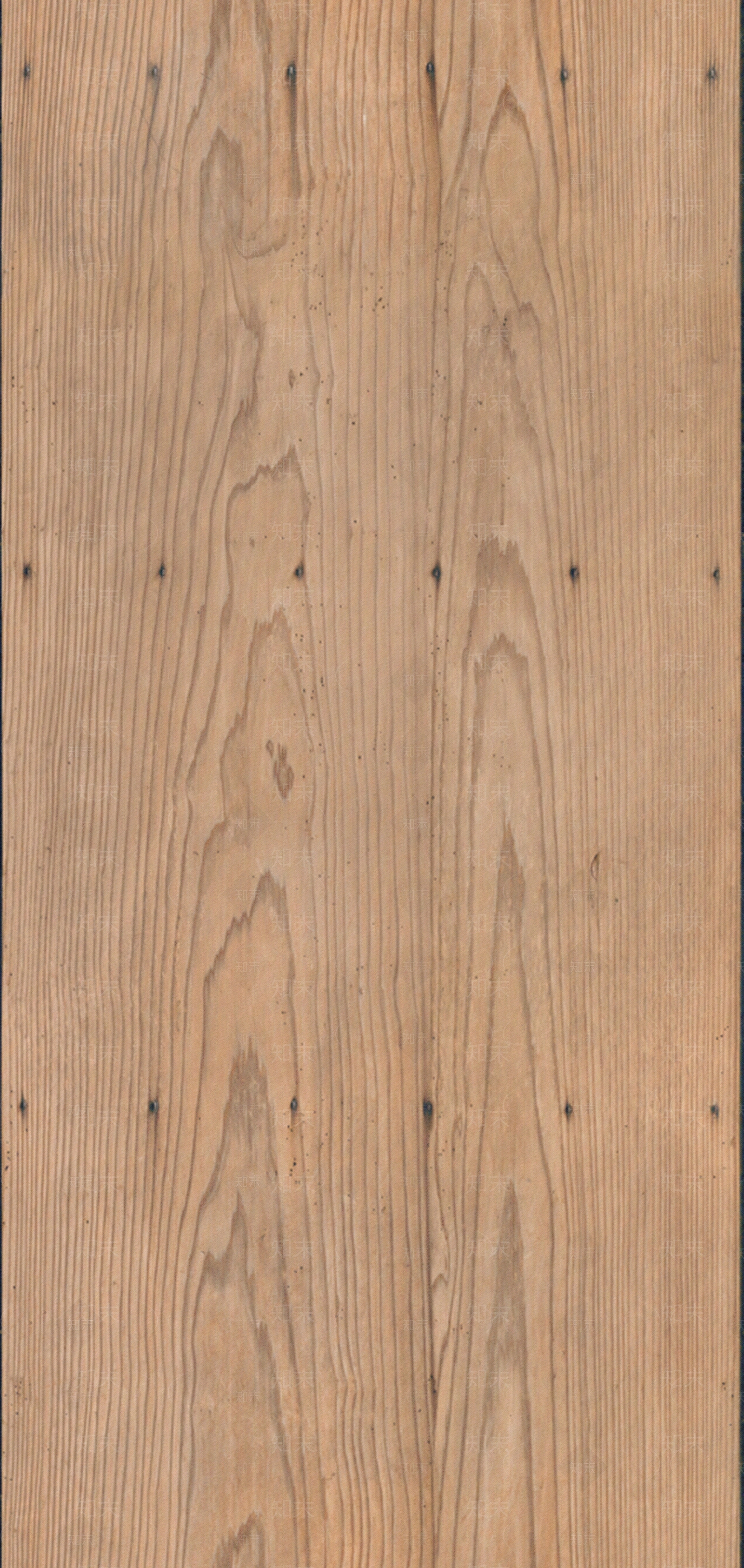 原木木纹纹理贴图下载【ID:1109701857】