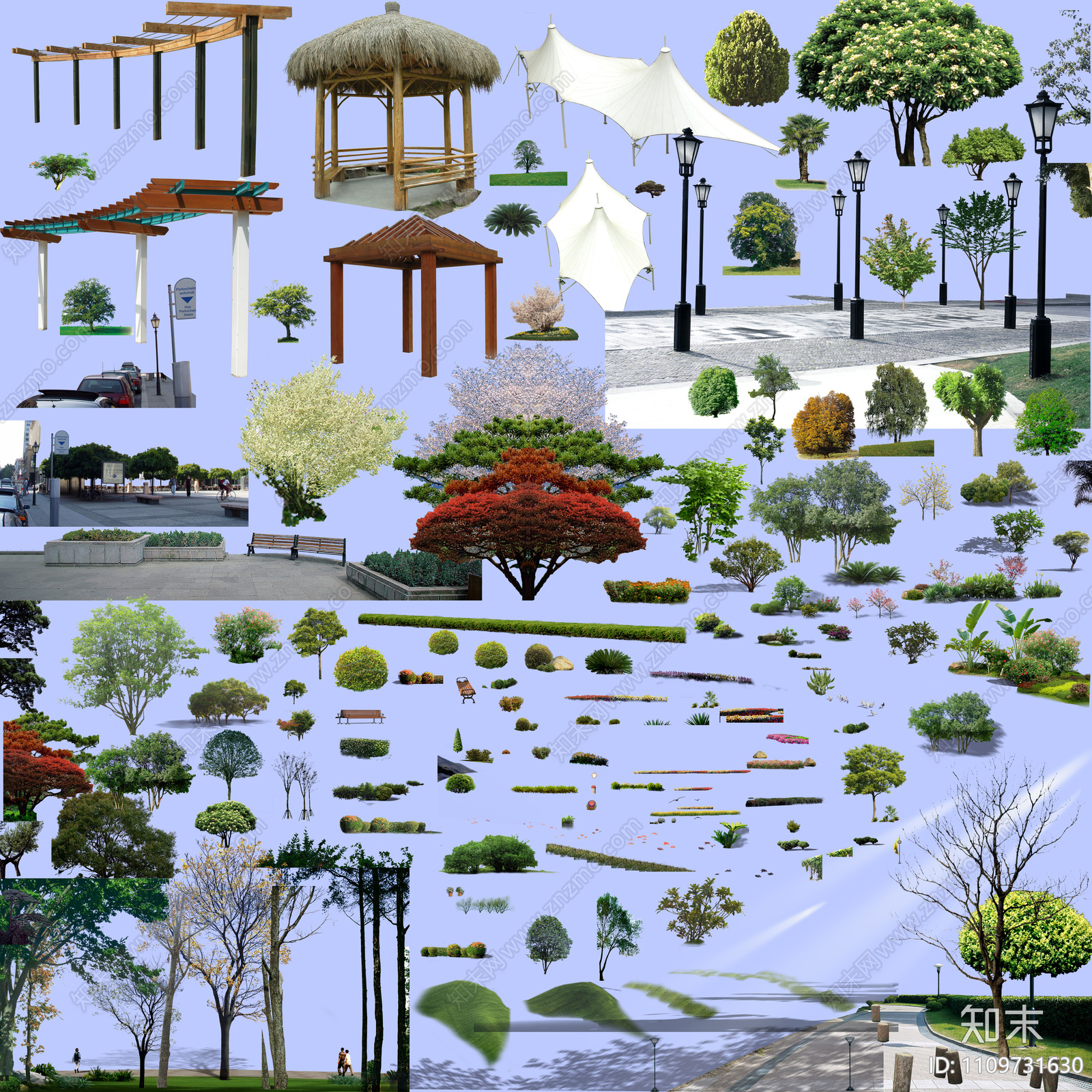 植物公园素材psd贴图下载