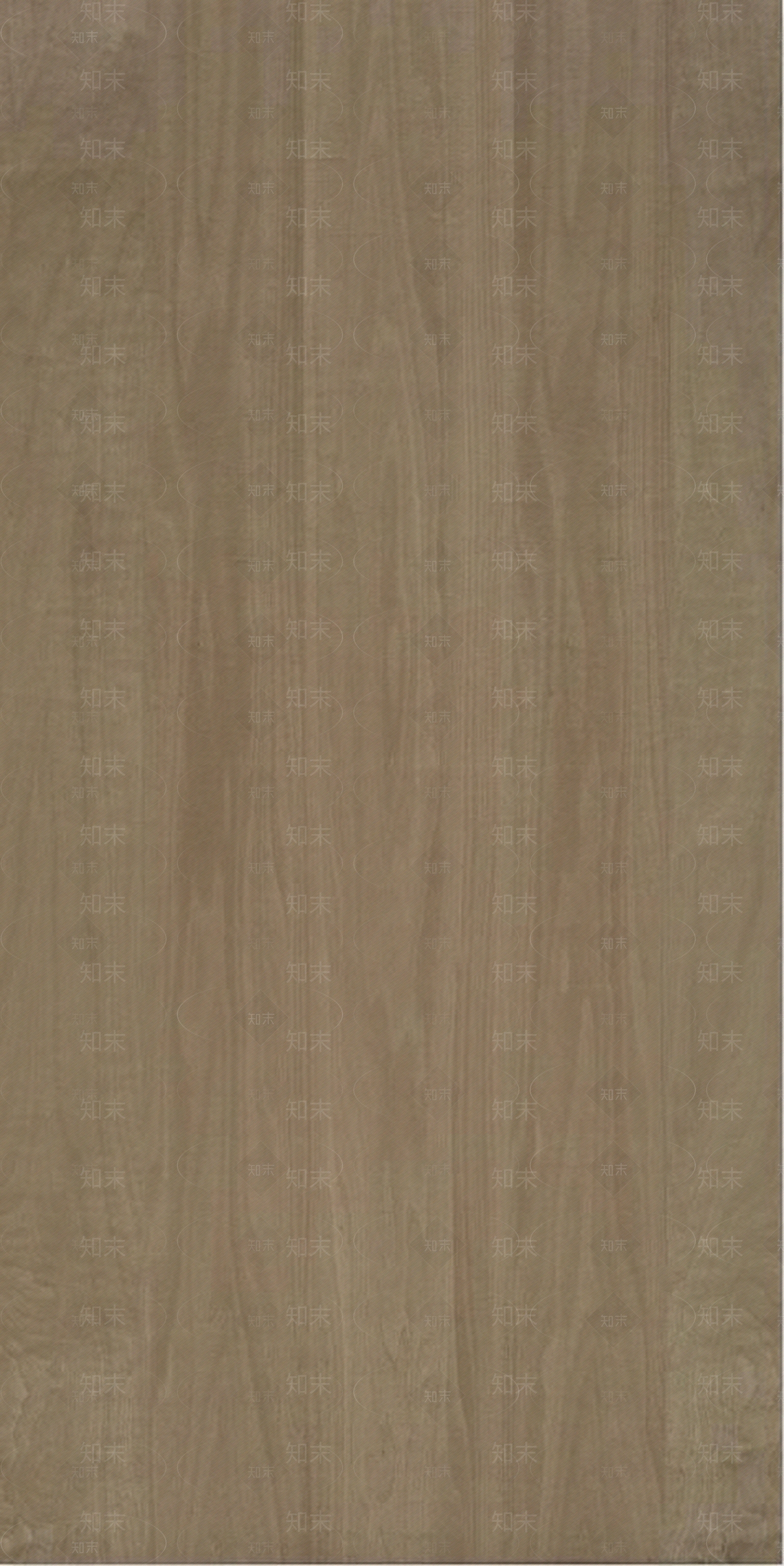 花纹椴木木纹贴图下载