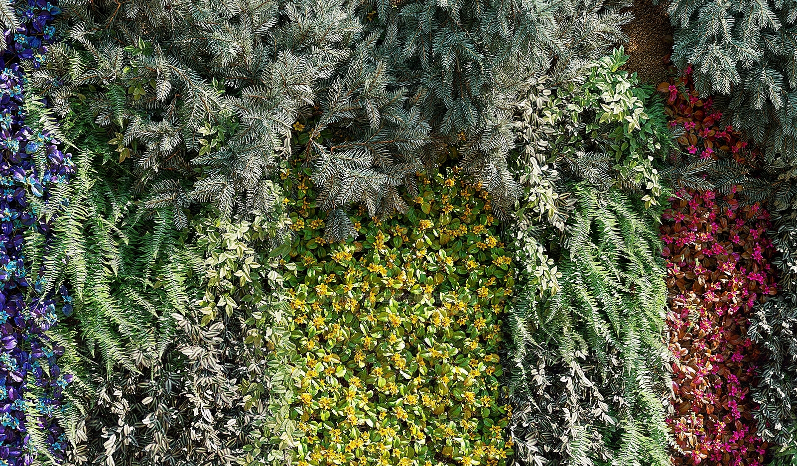现代植物墙3D模型下载【ID:1109917255】