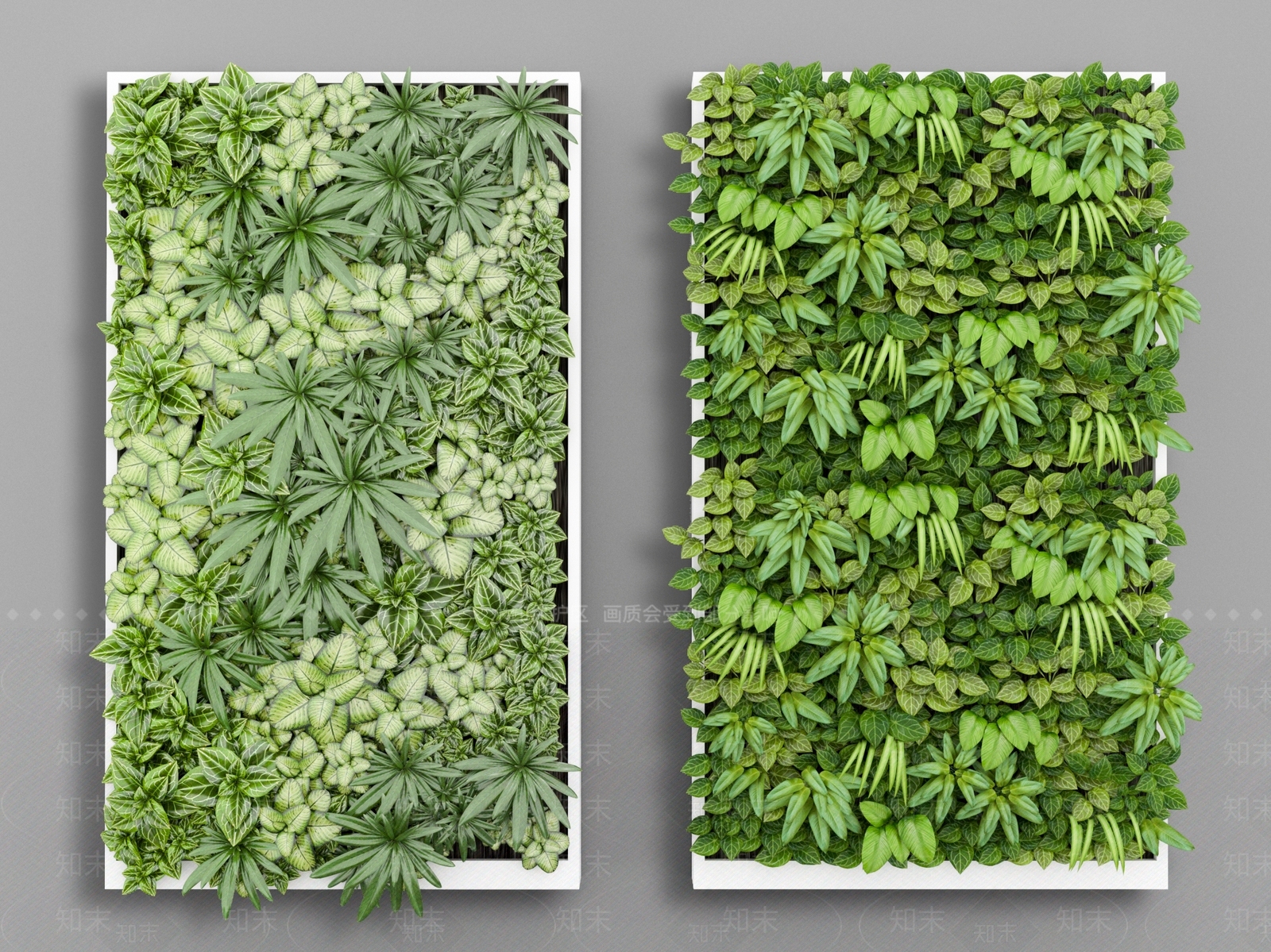 现代绿植墙3D模型下载【ID:1109956516】