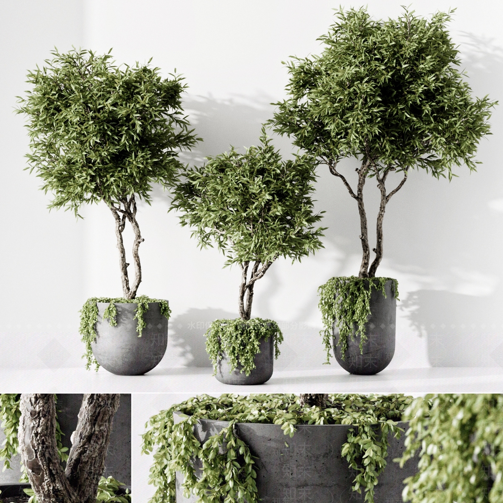 现代室内植物盆栽3D模型下载【ID:1110011834】