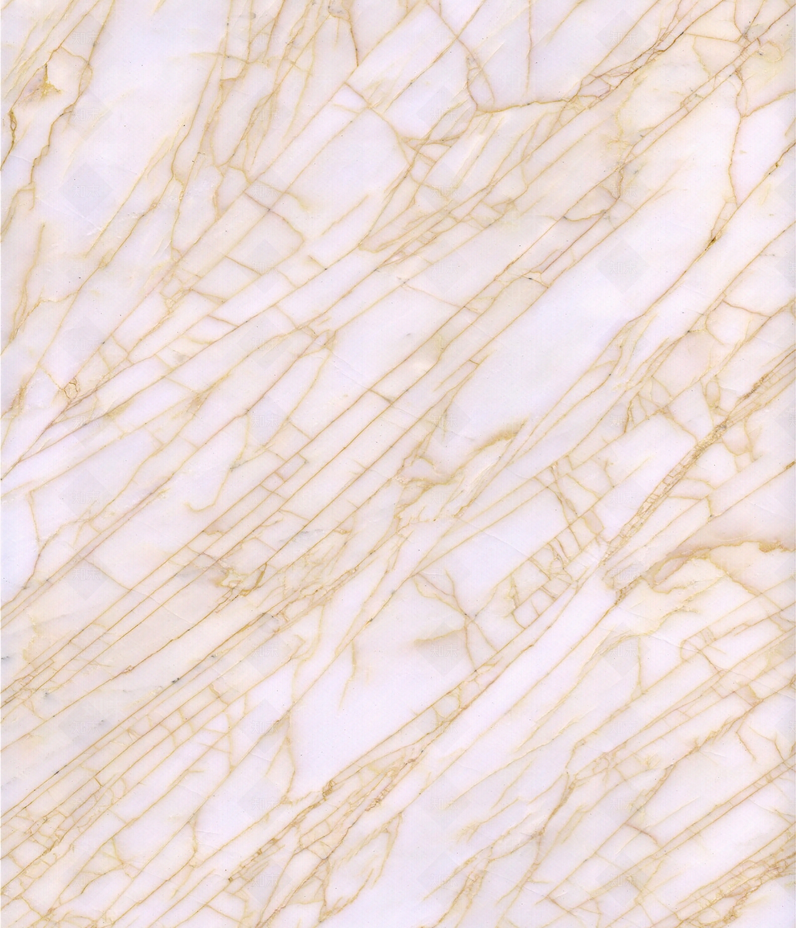 金蜘蛛纹白色大理石贴图下载【ID:1110036389】
