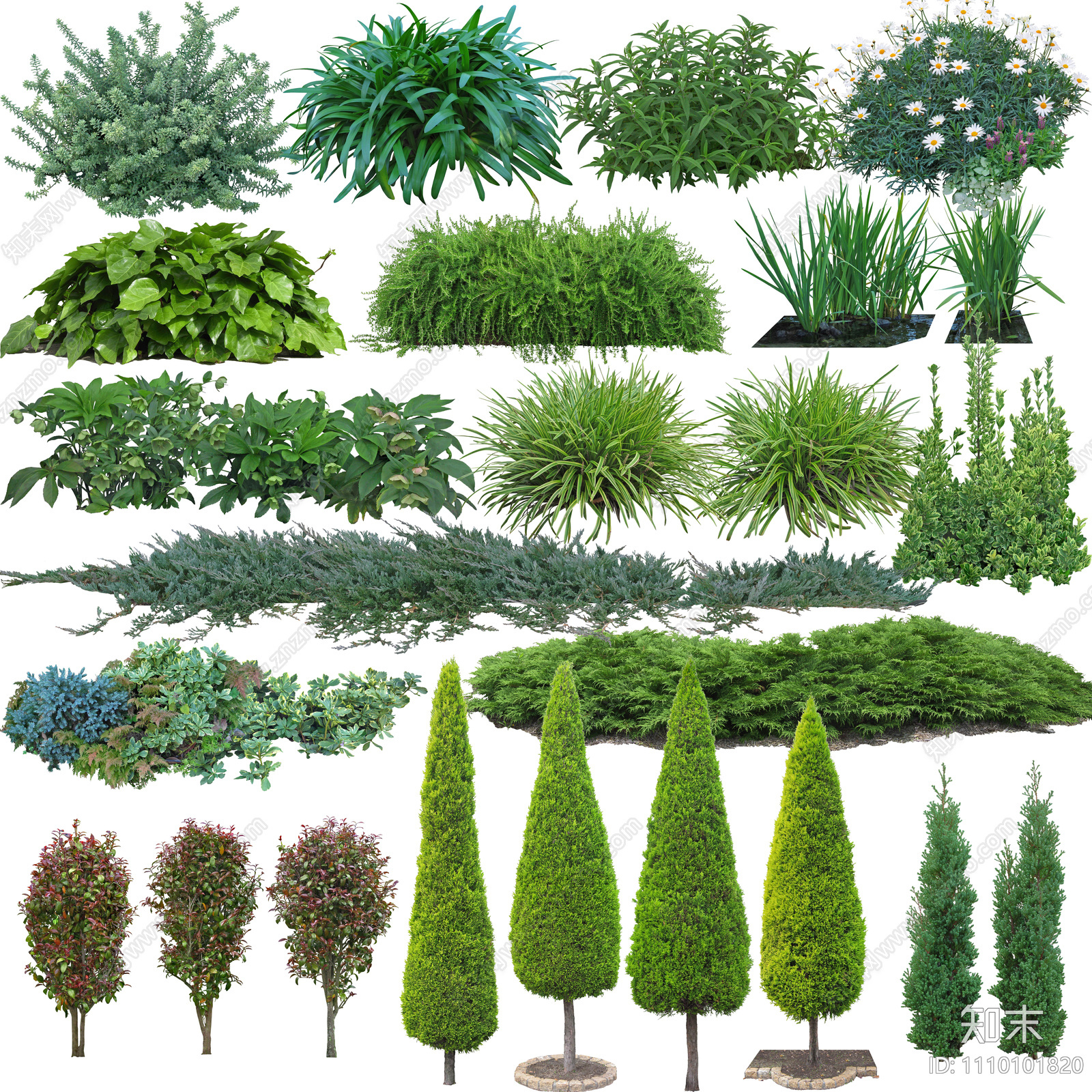 高清花草灌木psd免抠贴图下载