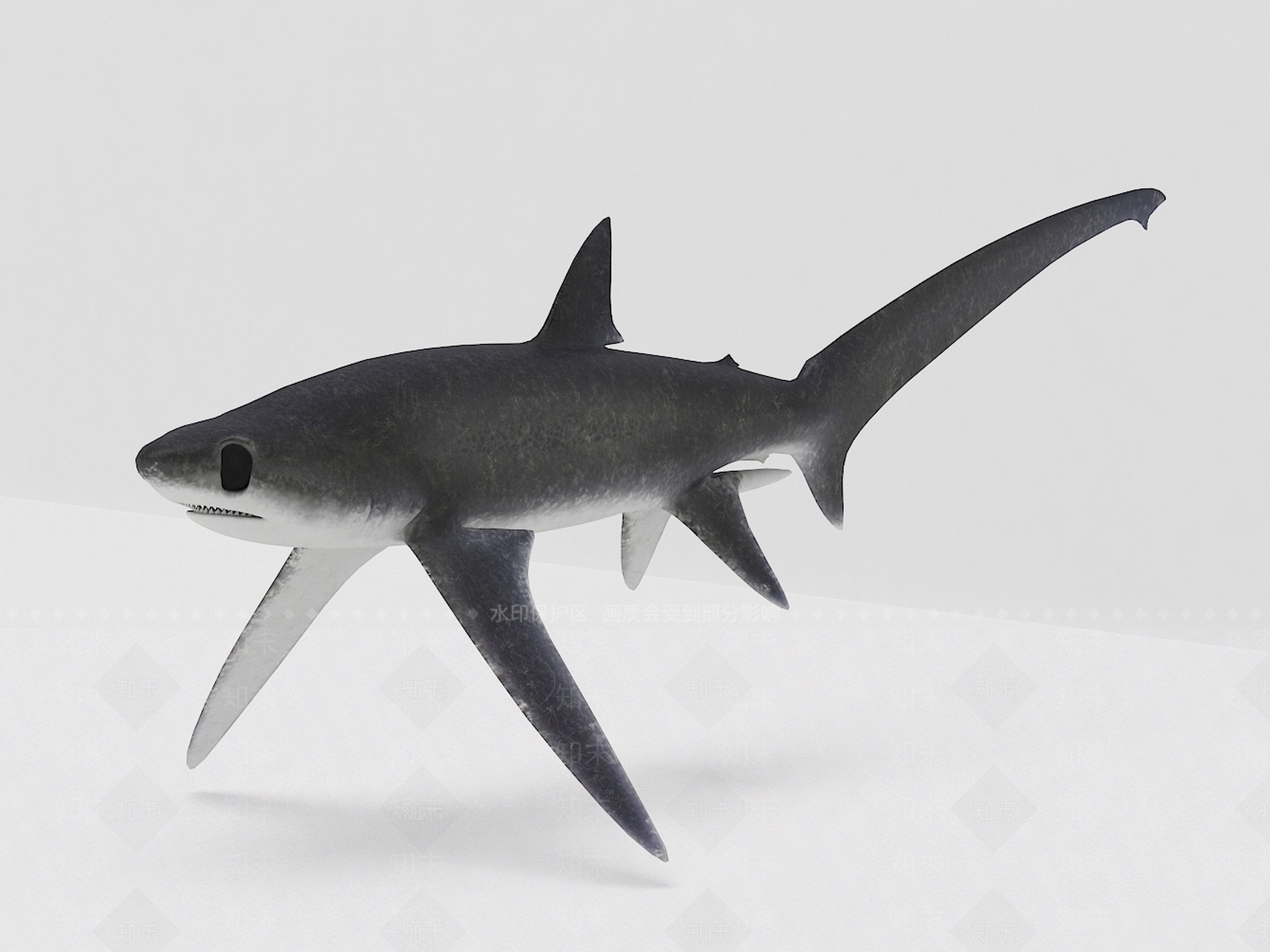 现代鲨鱼3D模型下载【ID:1110115458】