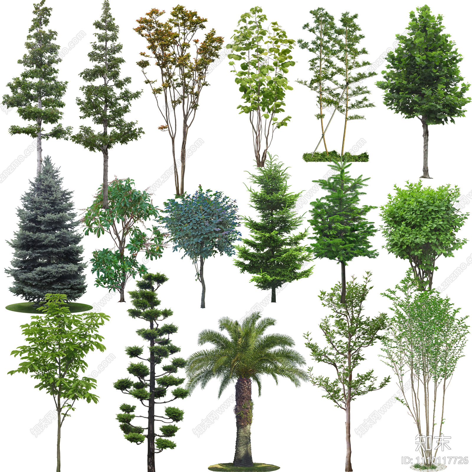 树木植物组合psd免抠贴图下载