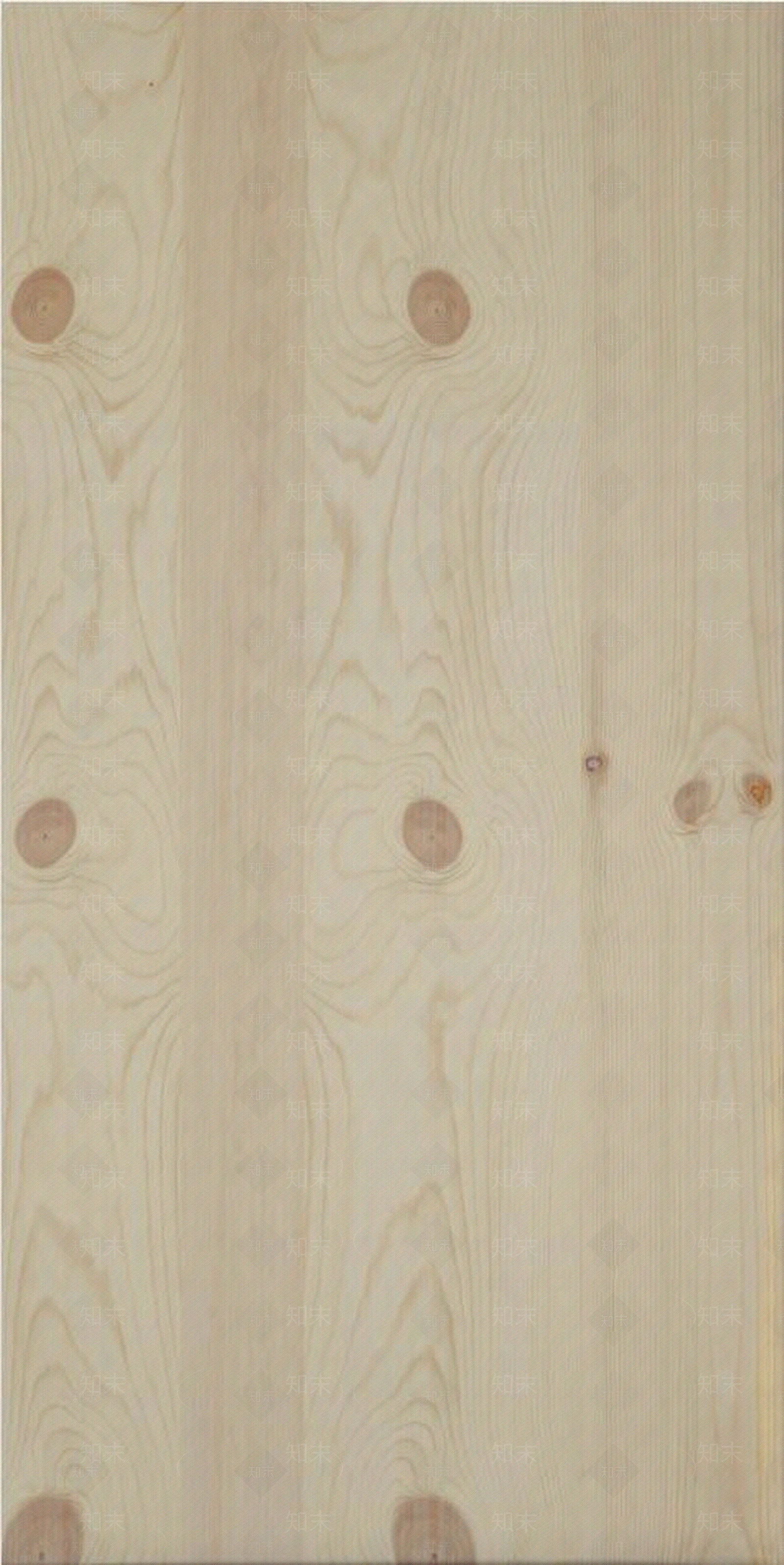 浅色原木纹节松木板贴图下载【ID:1110118412】