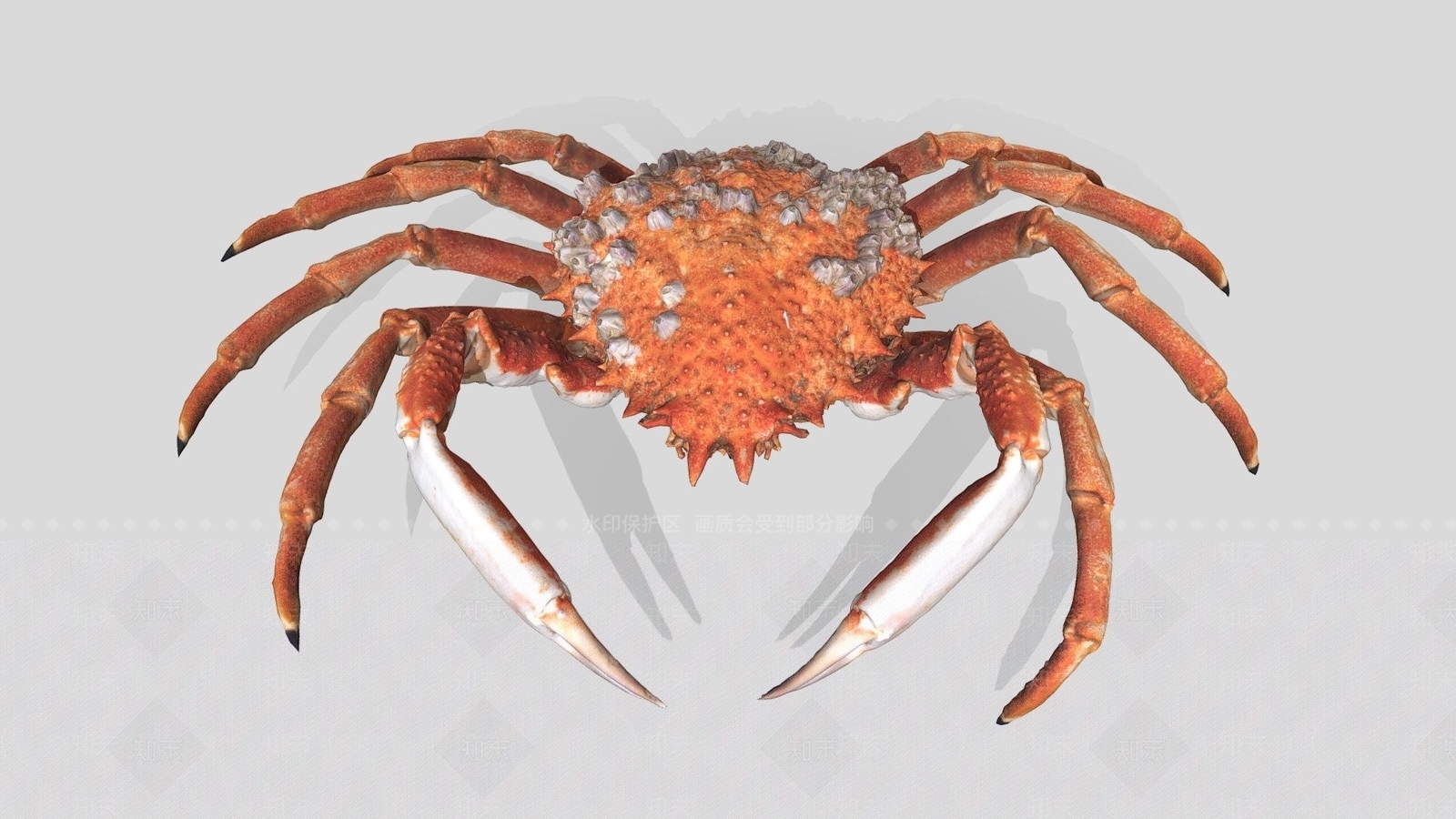现代螃蟹3D模型下载【ID:1110134431】