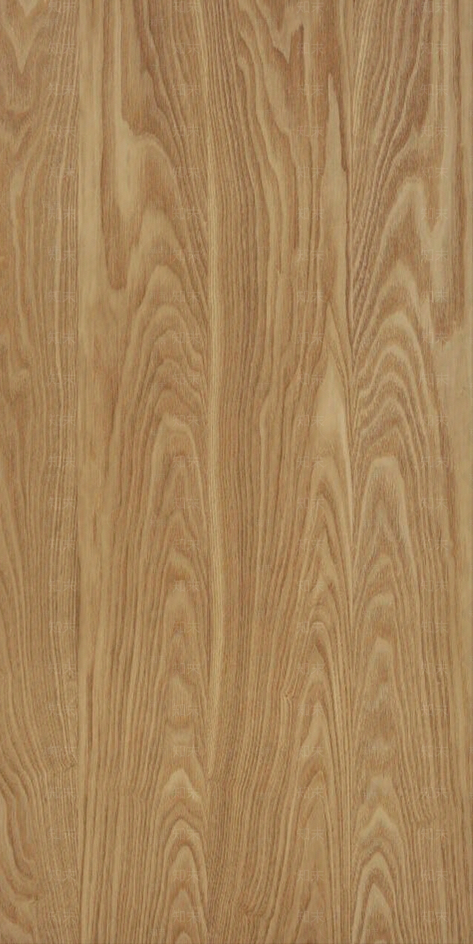 花纹白栓木贴图下载【ID:1110158314】