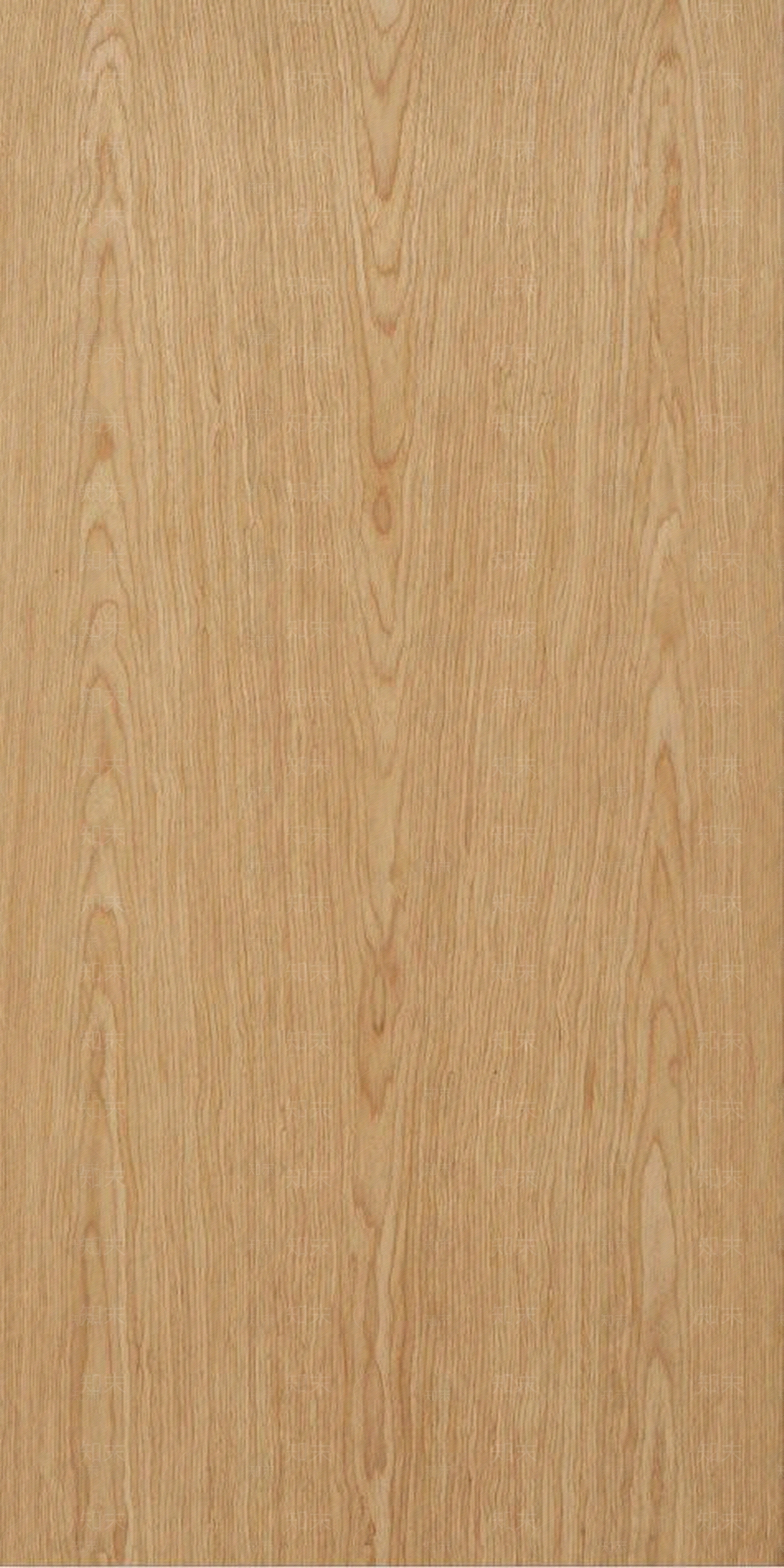 橡木浅色花纹类贴图下载【ID:1110163794】