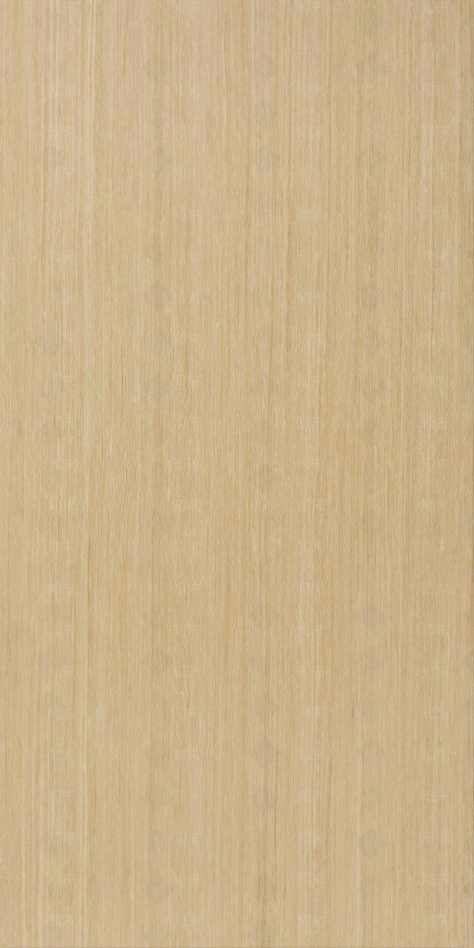 橡木浅色洗白花纹类贴图下载【ID:1110164116】