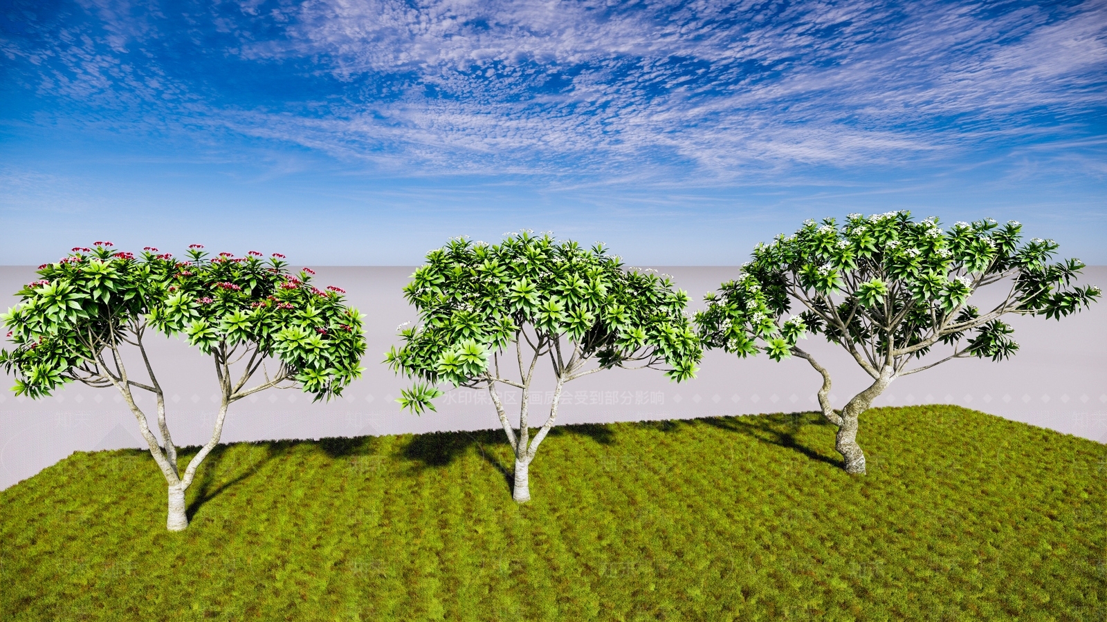 现代鸡蛋花SU模型下载【ID:1110178745】