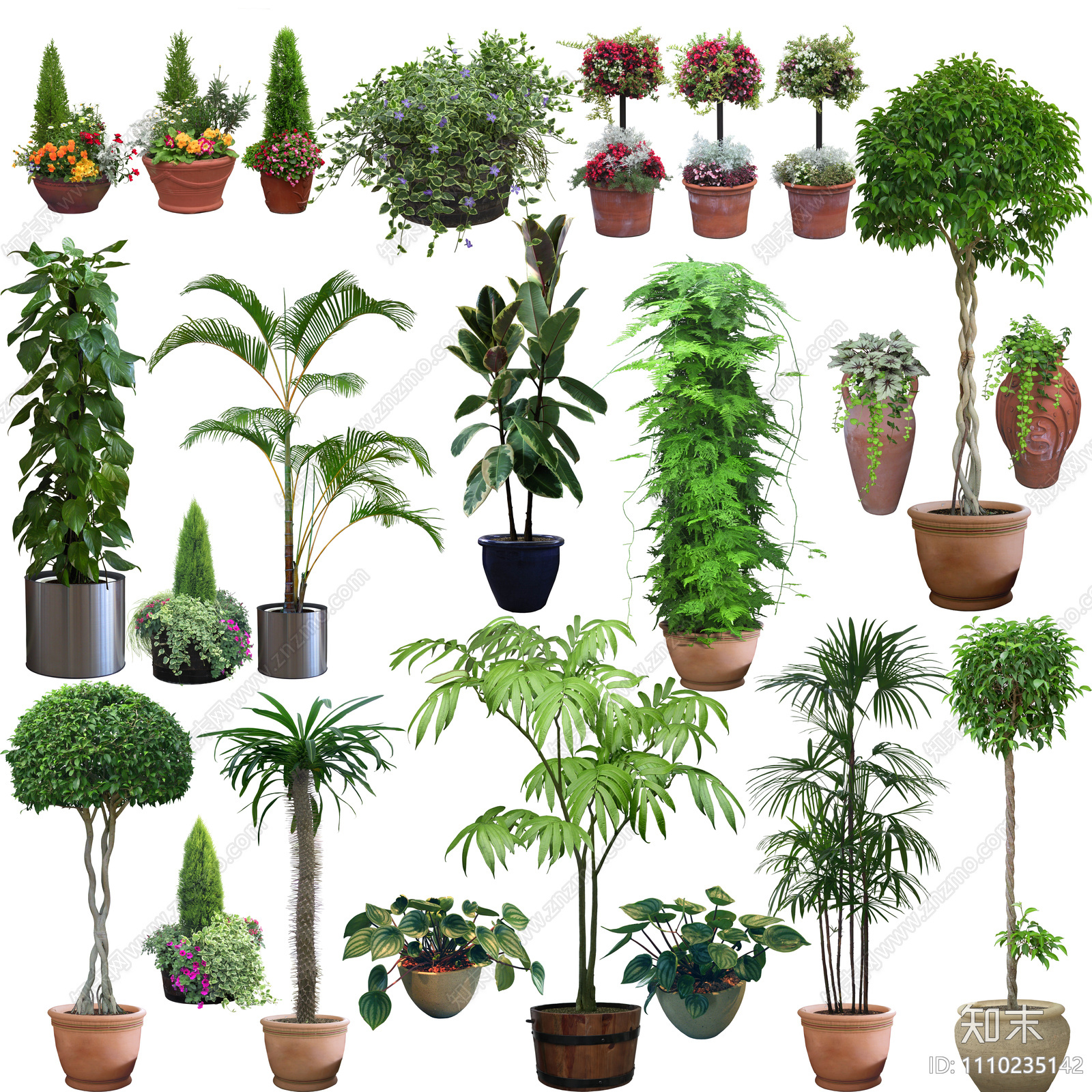 高清室内外盆栽psd免抠贴图下载