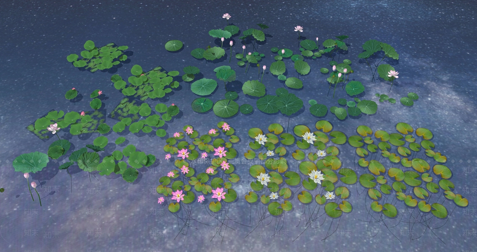 现代水生类植物SU模型下载【ID:1110330887】