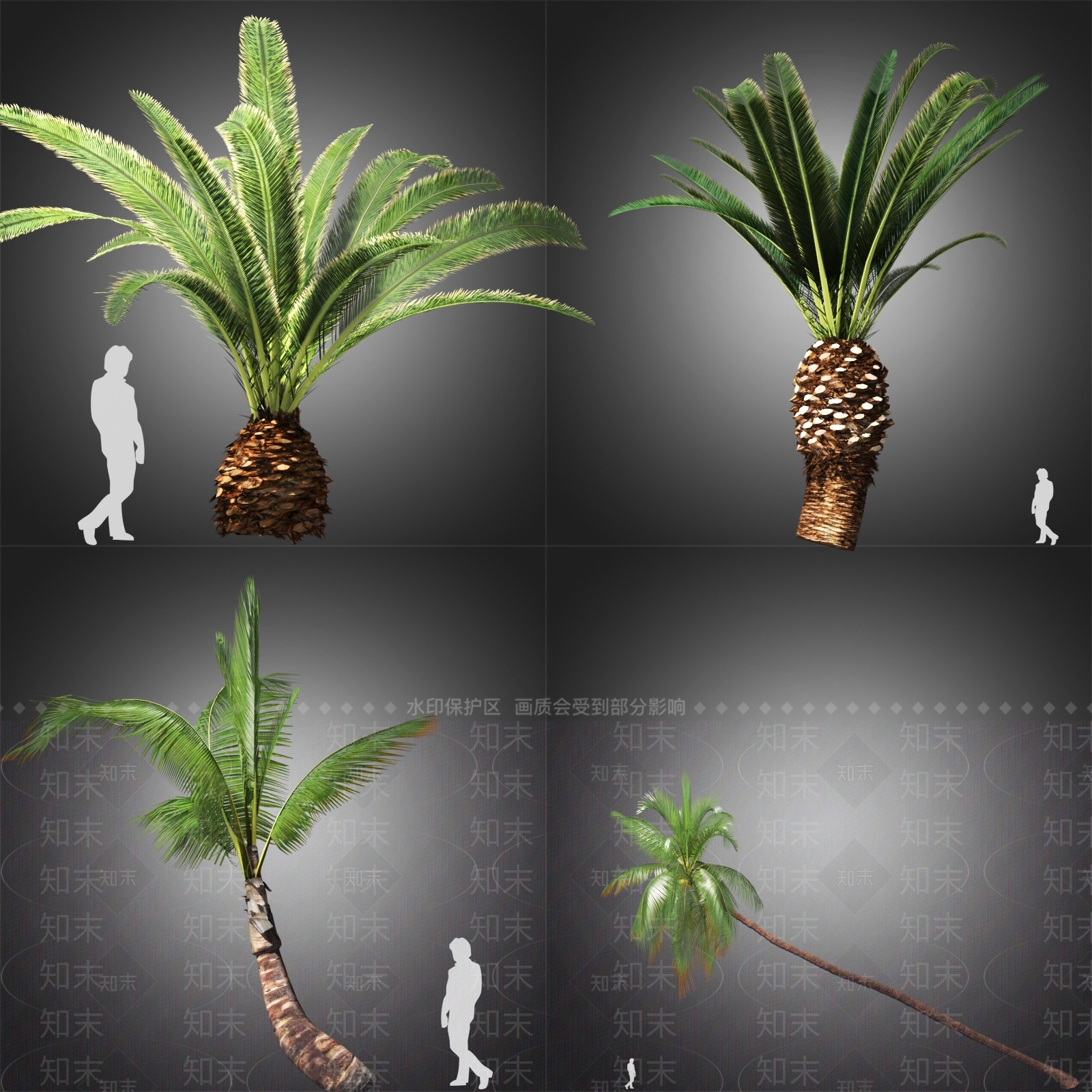 现代棕榈树3D模型下载【ID:1110473415】